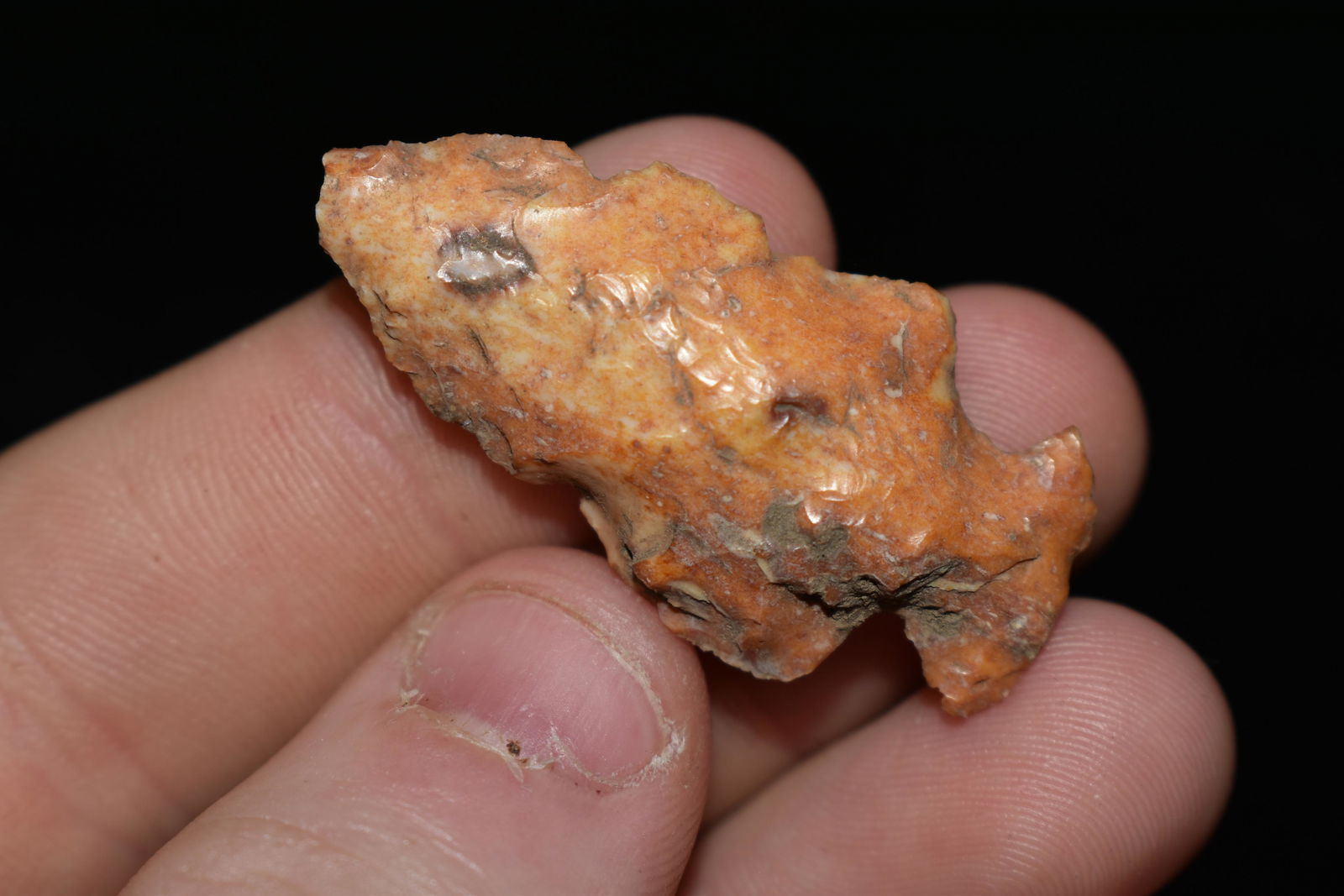 1 1/2" River Bottom Birdpoint, This collection contains (1 of 4)