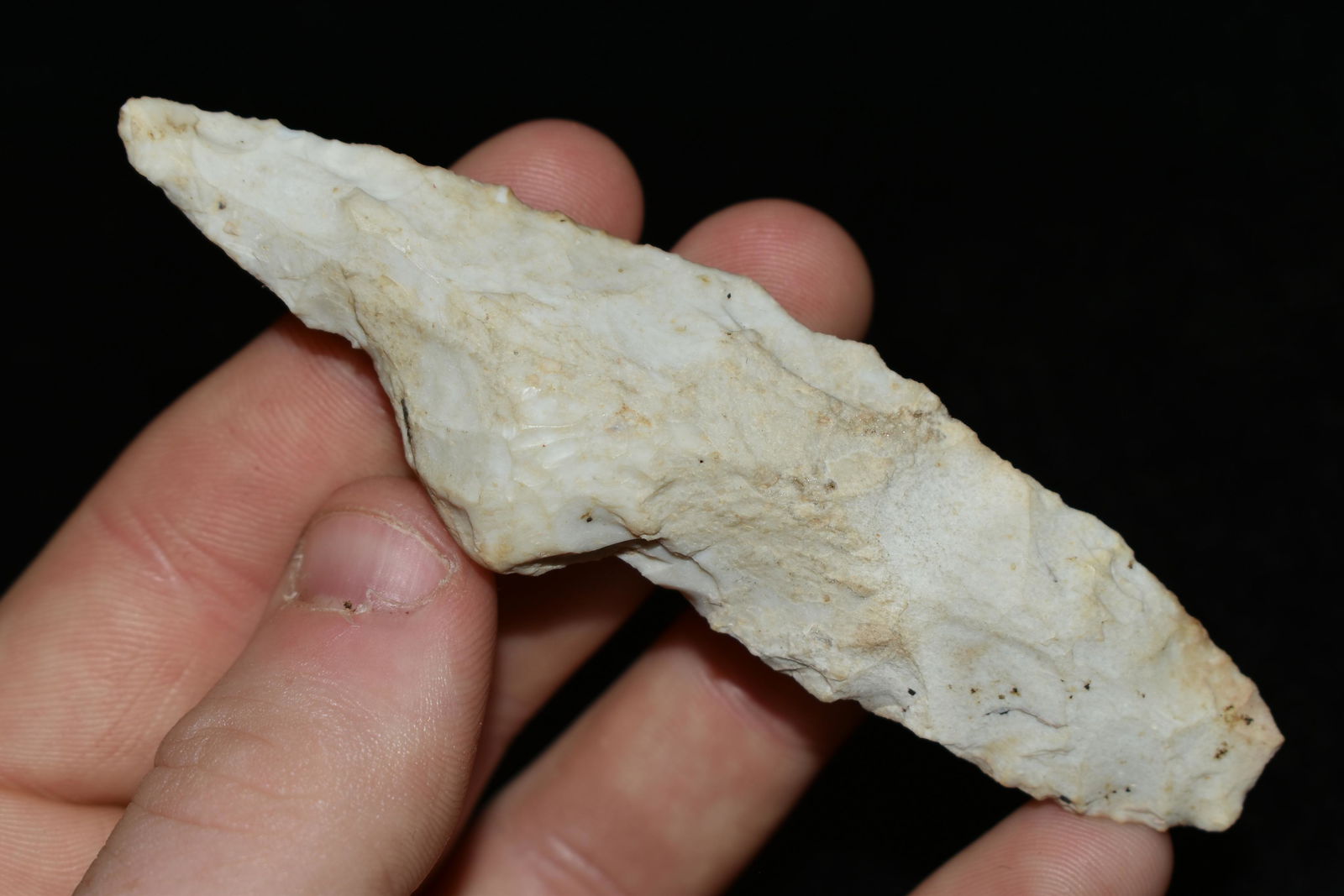 3 3/4" Wild Tool, This collection contains the (1 of 4)