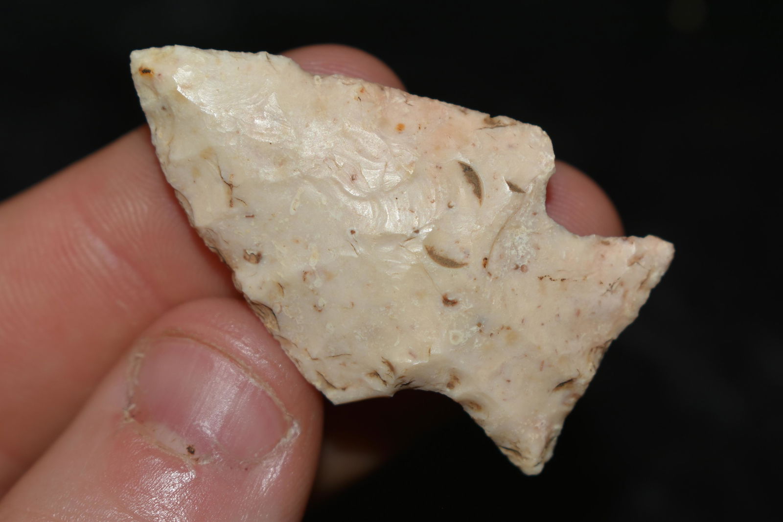 1 5/8" Multi Colored Apple Creek, This collection (1 of 4)