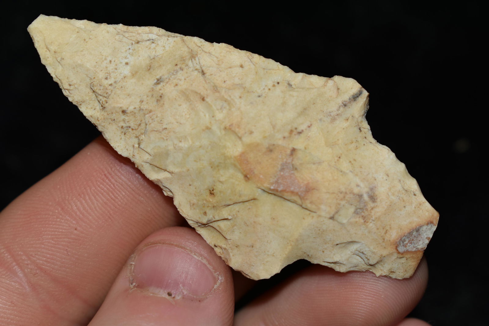 2 1/2" Hidden Valley, This collection contains the (1 of 4)