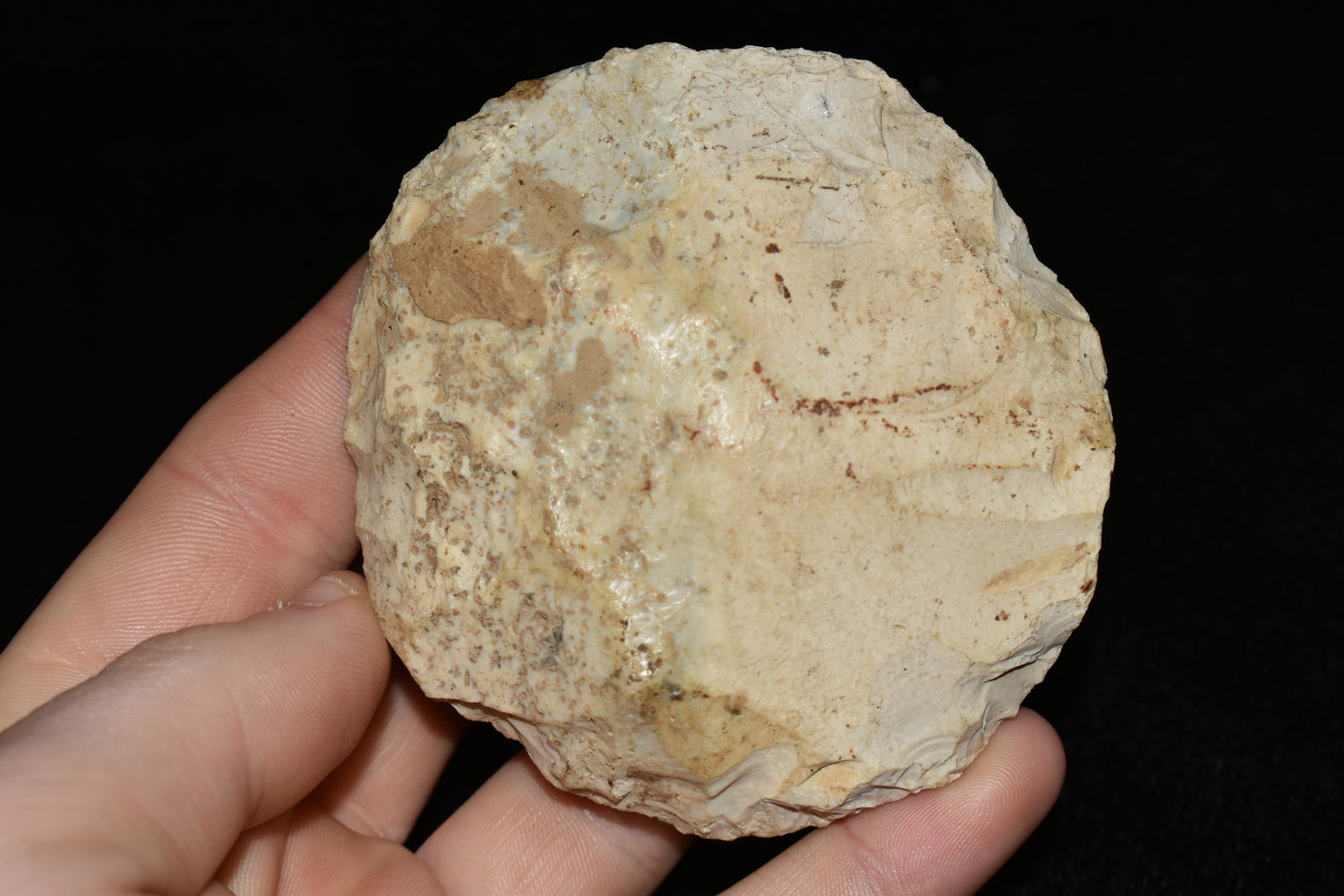 3" Sun Disc, This collection contains the personally (1 of 4)