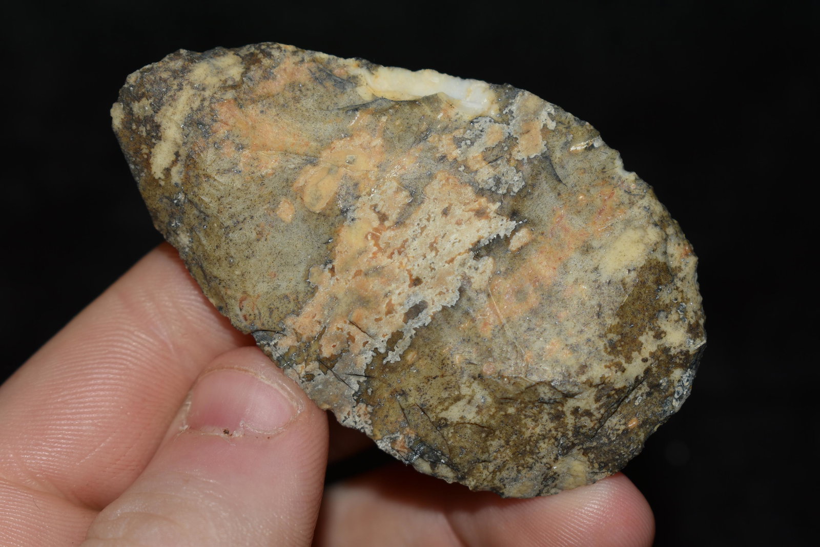 2 1/2" North Blade, This collection contains the (1 of 4)