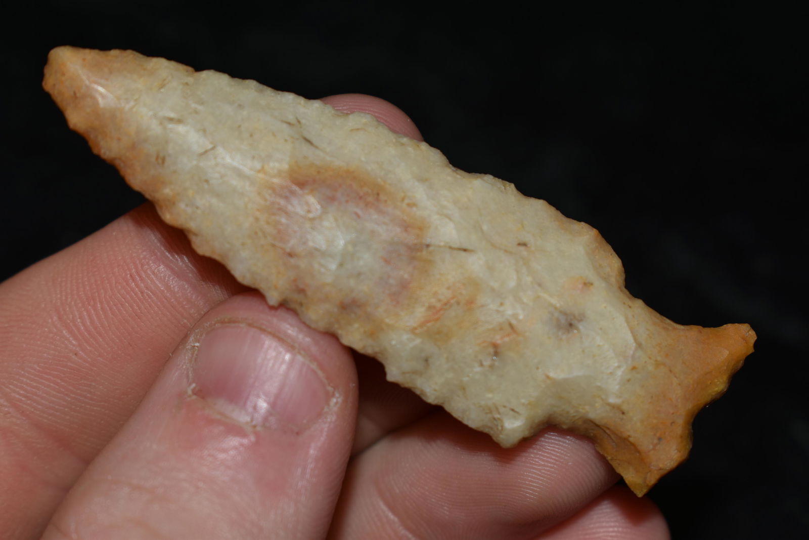 2 1/2" Kaolin Jacks Reef, This collection contains the (1 of 4)