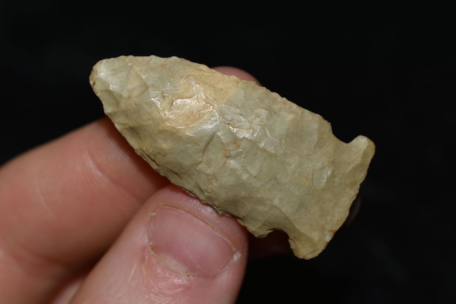 1 1/2" Robinson, This collection contains the (1 of 4)