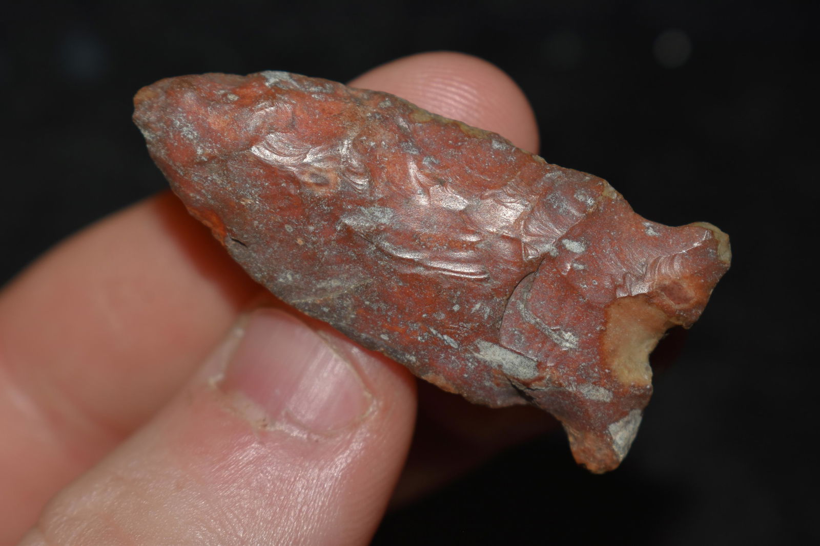 1 5/8" Matanzas Point, This collection contains the (1 of 4)