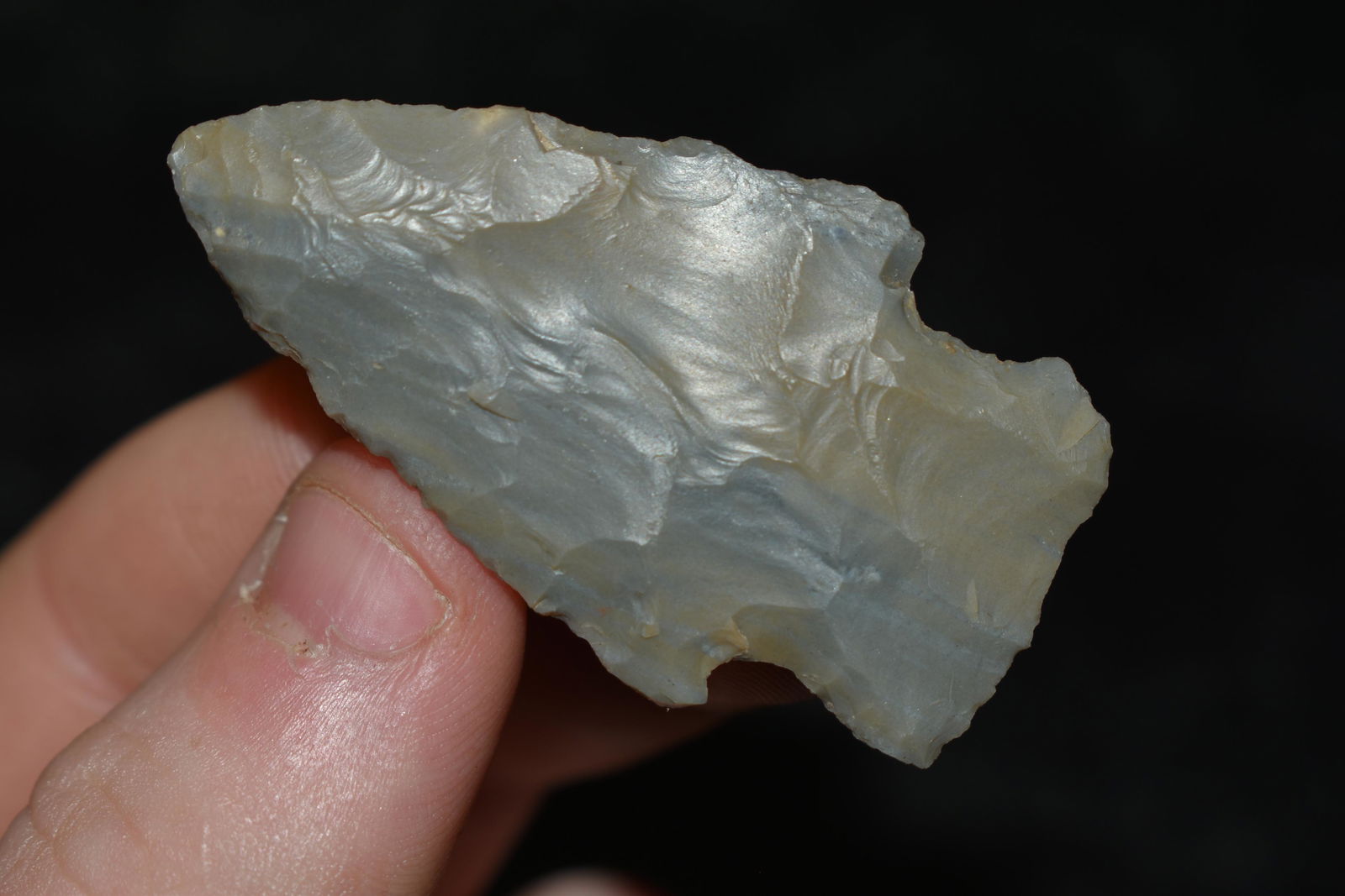 2" Kampsville Point, This collection contains the (1 of 4)