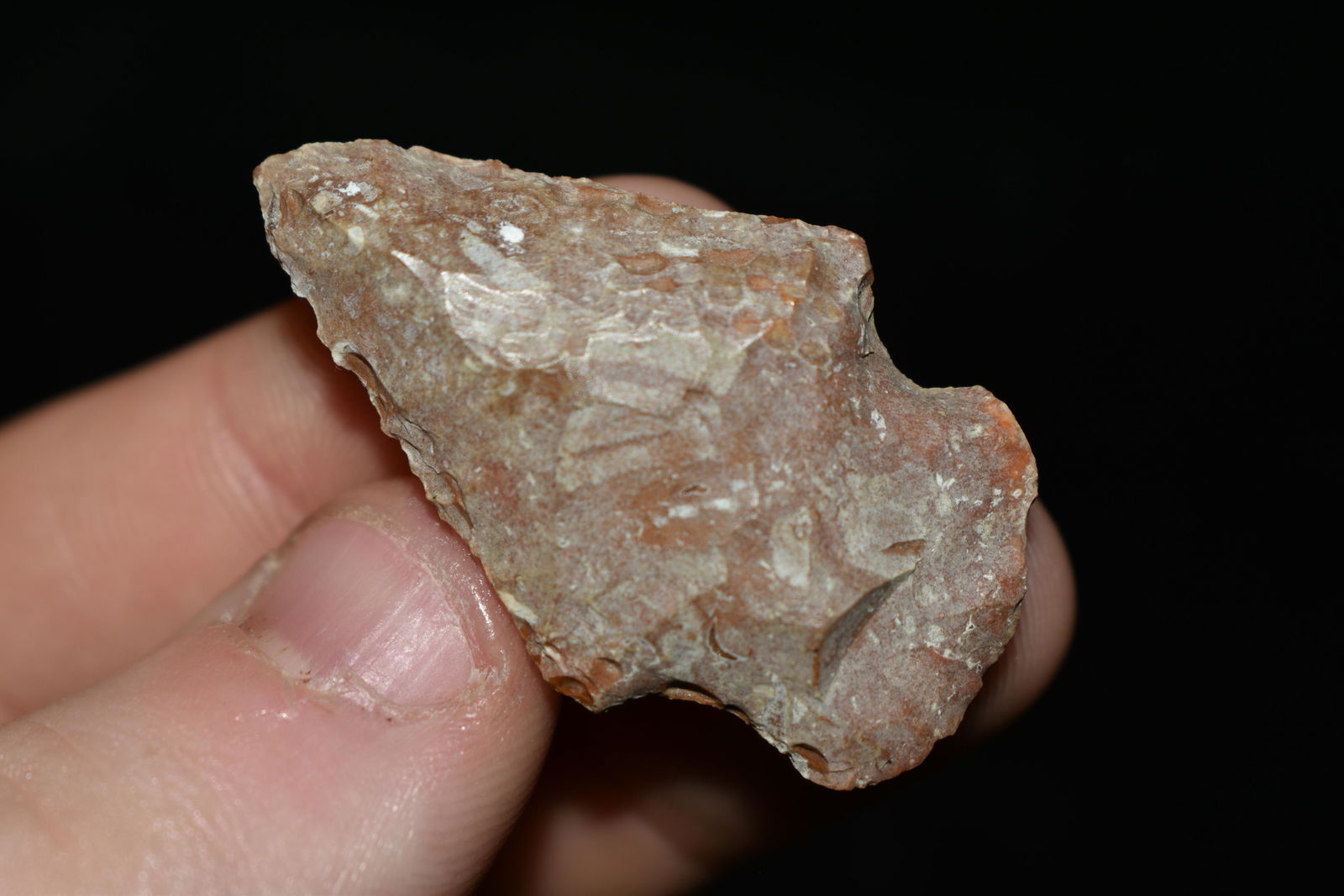 1 1/2" River Stained Archaic Point, This collection (1 of 4)