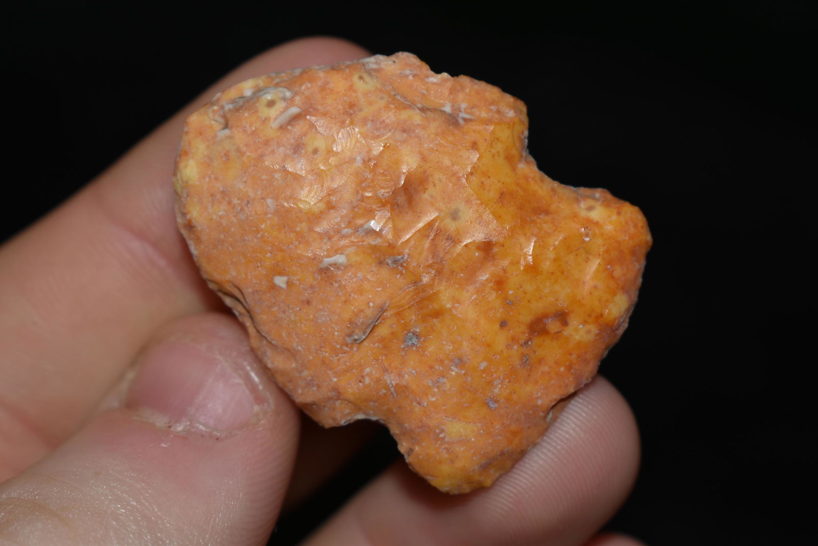 1 1/2" River Stained Woodland Point, This collection (1 of 4)