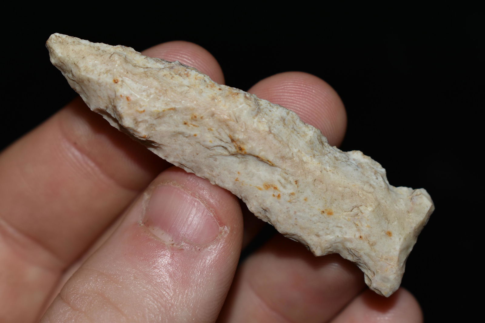 2 3/8" Matanzas Point, This collection contains the (1 of 4)