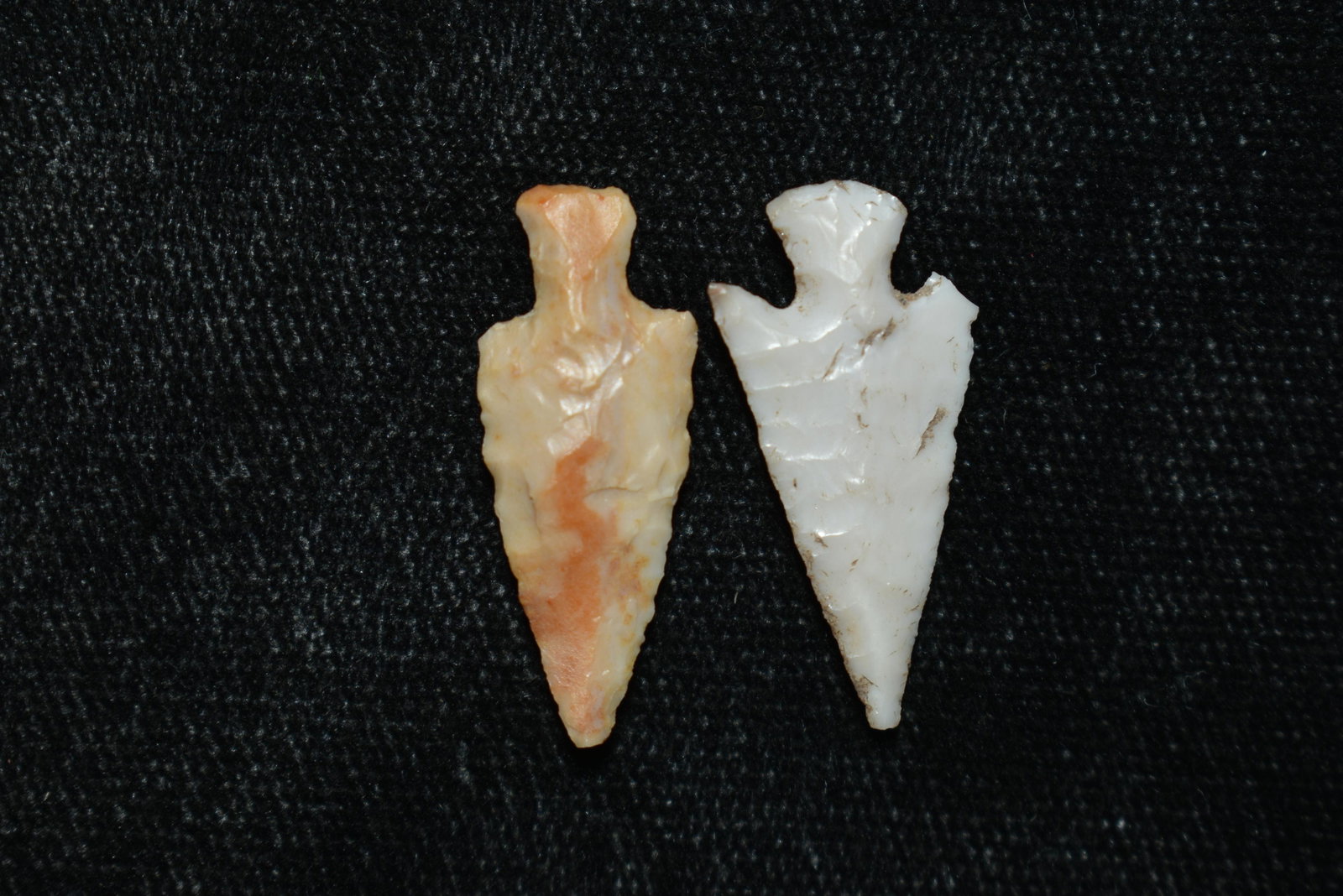 Lot of 2 Columbia Plateau's, Largest Measures 7/8" This: Lot of 2 Columbia Plateau's, Largest Measures 7/8" This collection contains Wonderful examples of Columbia River Valley Arrowheads and Darts from the Fred Van Ronk Collection. The location of these ar