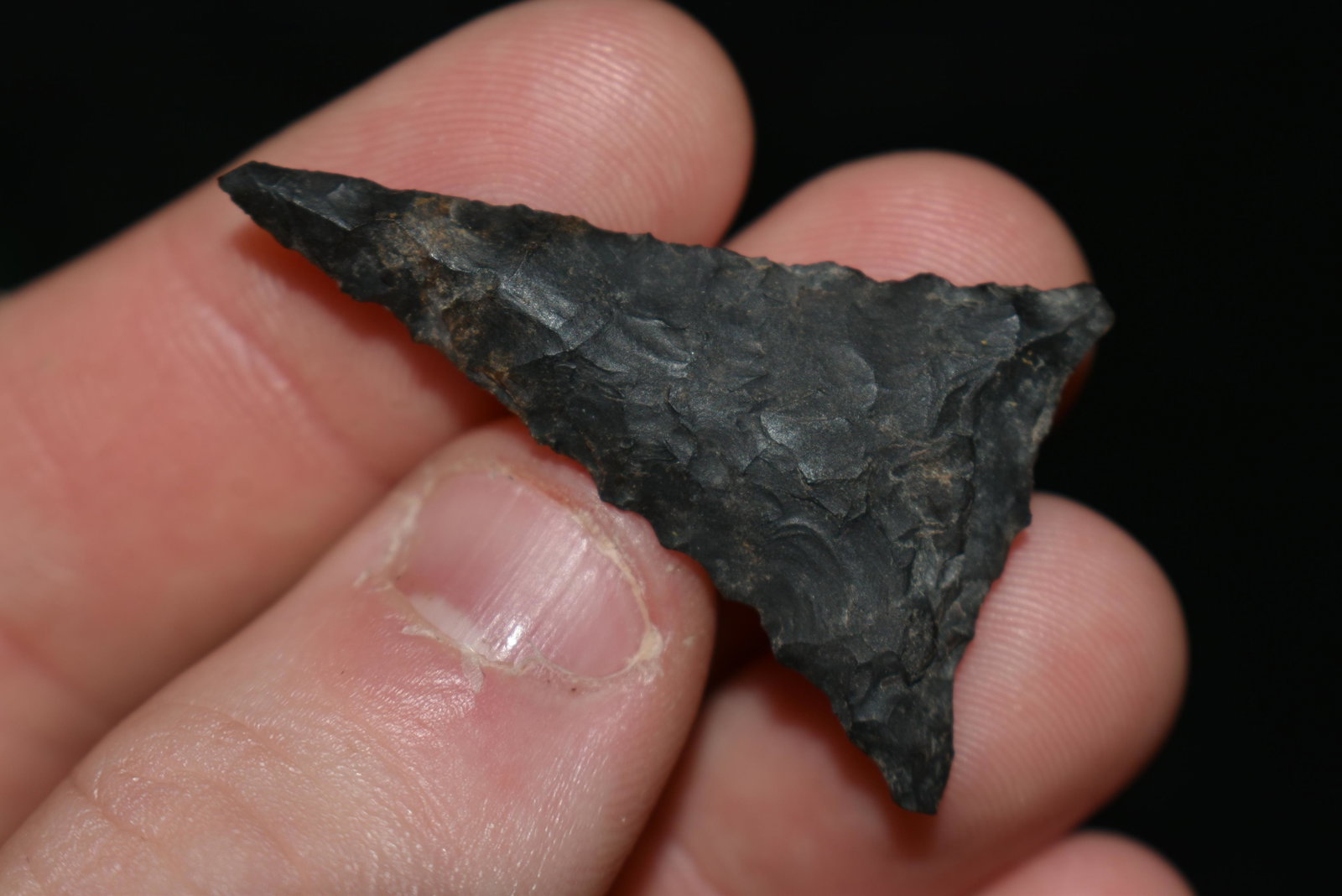 1 5/8" Atlatl Valley Triangle This collection contains: 1 5/8" Atlatl Valley Triangle This collection contains Wonderful examples of Columbia River Valley Arrowheads and Darts from the Fred Van Ronk Collection. The location of these artifacts range from th