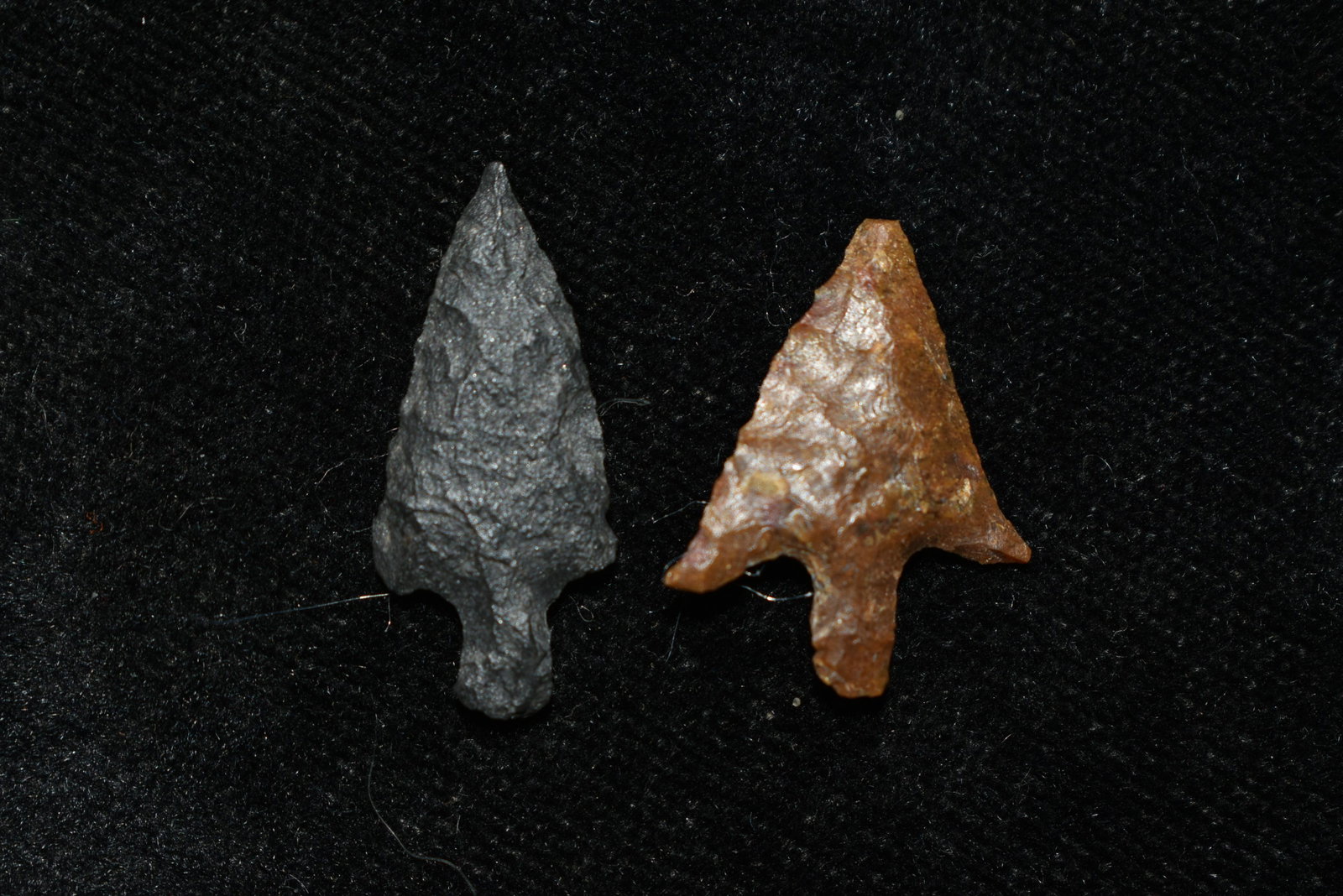 Pair of Columbia River Gem Points, Largest mesaures 1": Pair of Columbia River Gem Points, Largest mesaures 1" This collection contains Wonderful examples of Columbia River Valley Arrowheads and Darts from the Fred Van Ronk Collection. The location of thes