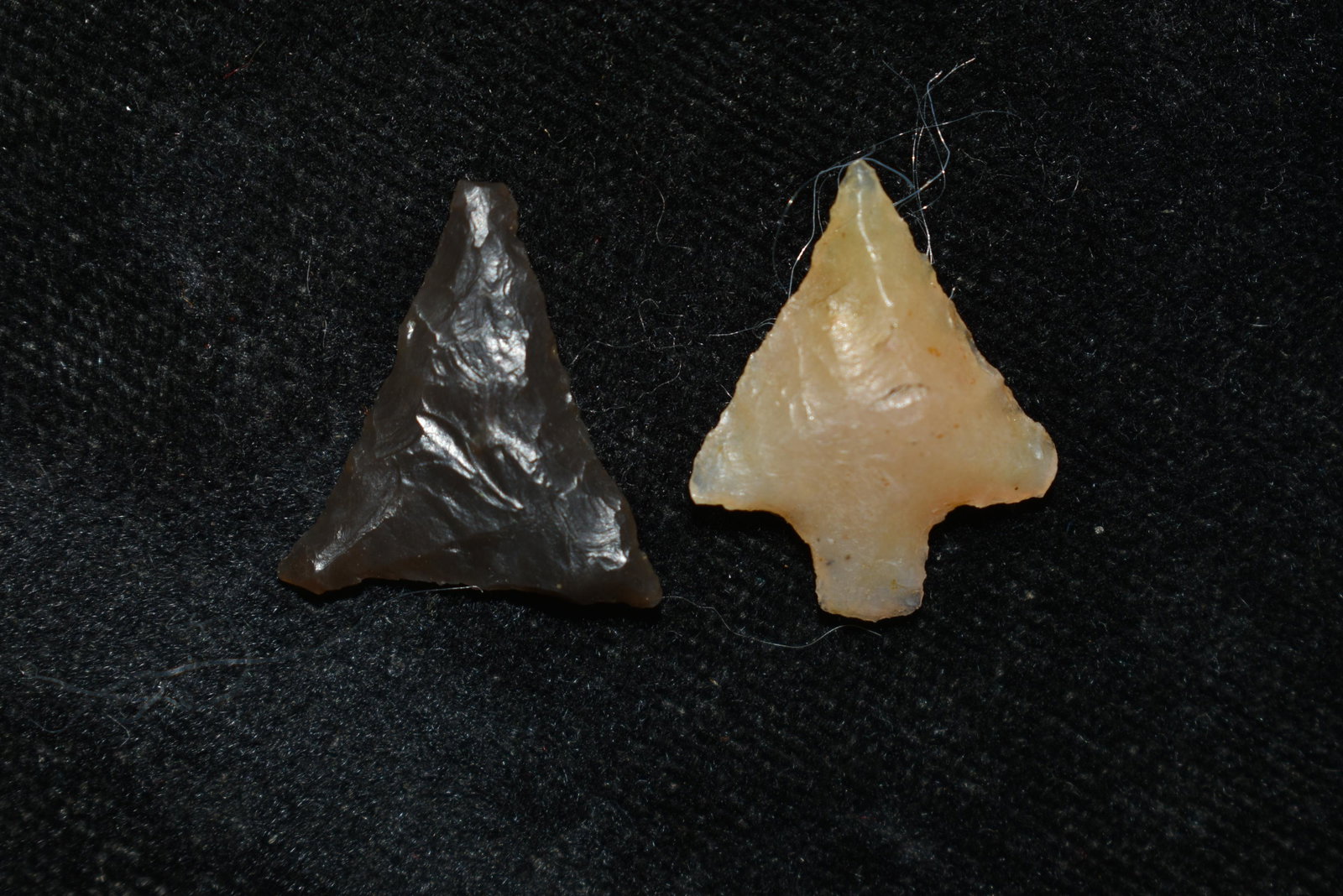 Pair of Columbia River Gem Points, Largest mesaures: Pair of Columbia River Gem Points, Largest mesaures 3/4" This collection contains Wonderful examples of Columbia River Valley Arrowheads and Darts from the Fred Van Ronk Collection. The location of th
