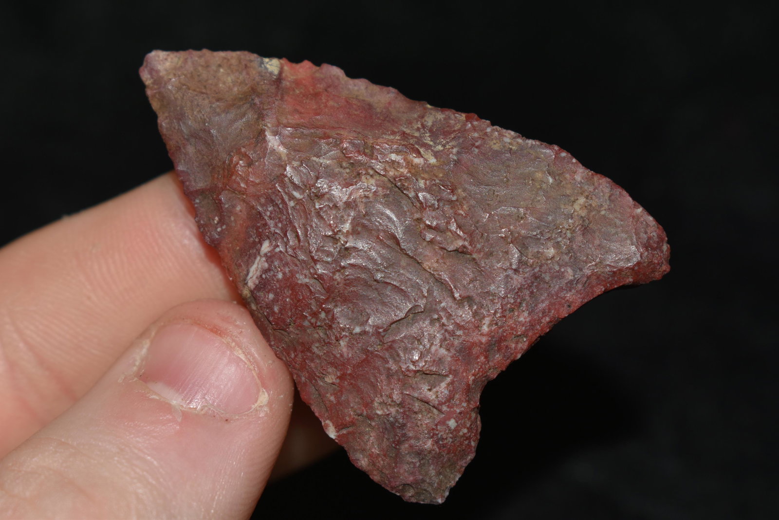 2" Mule Ear This collection contains Wonderful examples: 2" Mule Ear This collection contains Wonderful examples of Columbia River Valley Arrowheads and Darts from the Fred Van Ronk Collection. The location of these artifacts range from the about Dalles, Or