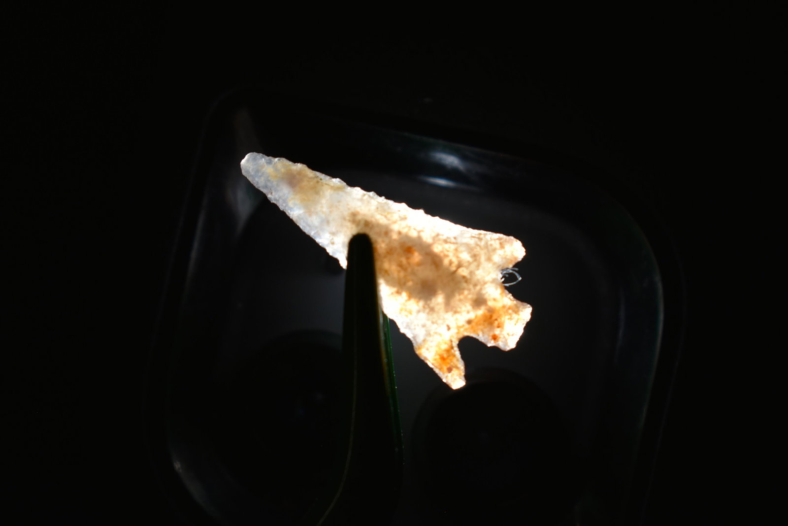 15/16" Sauvie Island This collection contains Wonderful: 15/16" Sauvie Island This collection contains Wonderful examples of Columbia River Valley Arrowheads and Darts from the Fred Van Ronk Collection. The location of these artifacts range from the about D