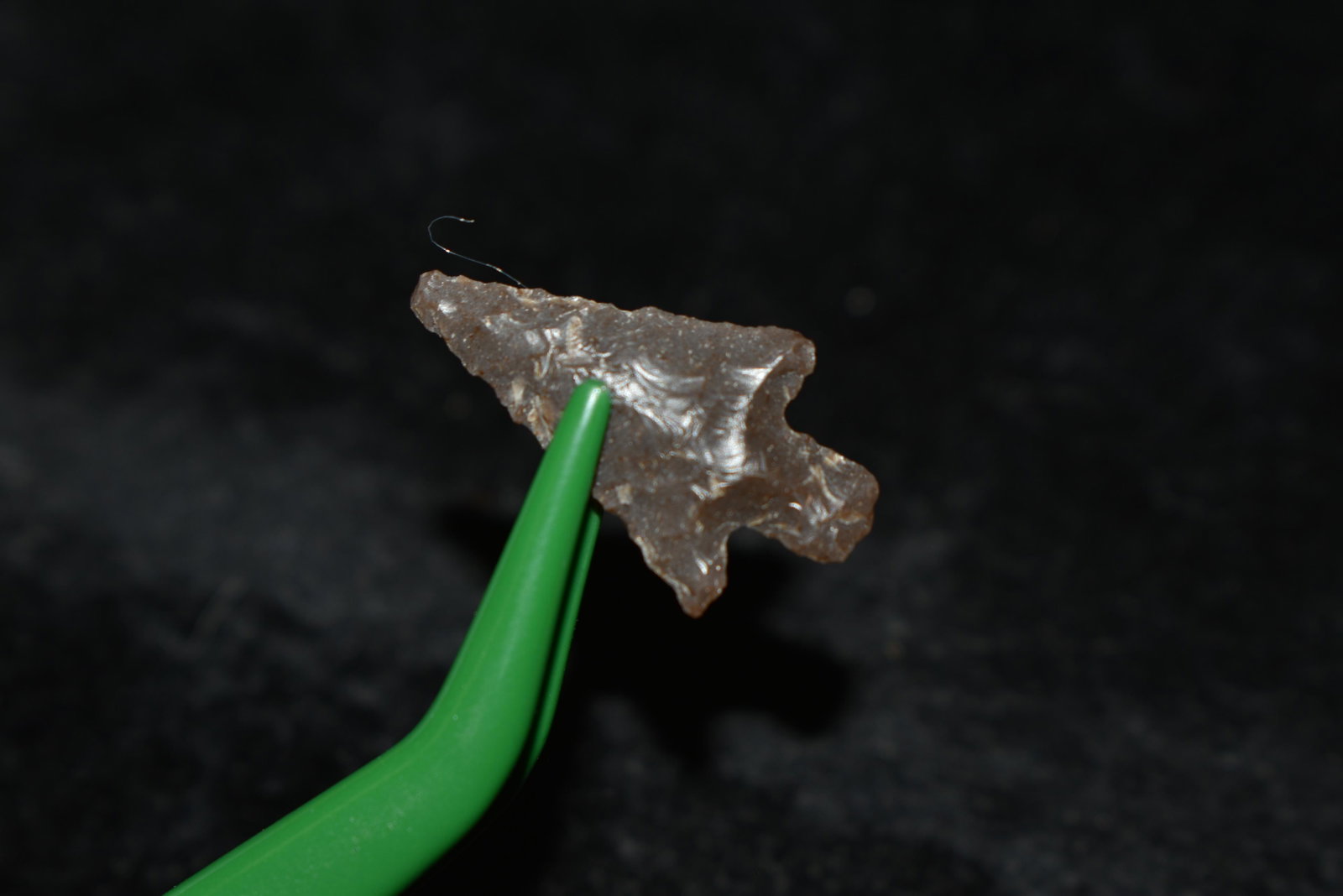 7/8" Sauvie Island This collection contains Wonderful: 7/8" Sauvie Island This collection contains Wonderful examples of Columbia River Valley Arrowheads and Darts from the Fred Van Ronk Collection. The location of these artifacts range from the about Dal