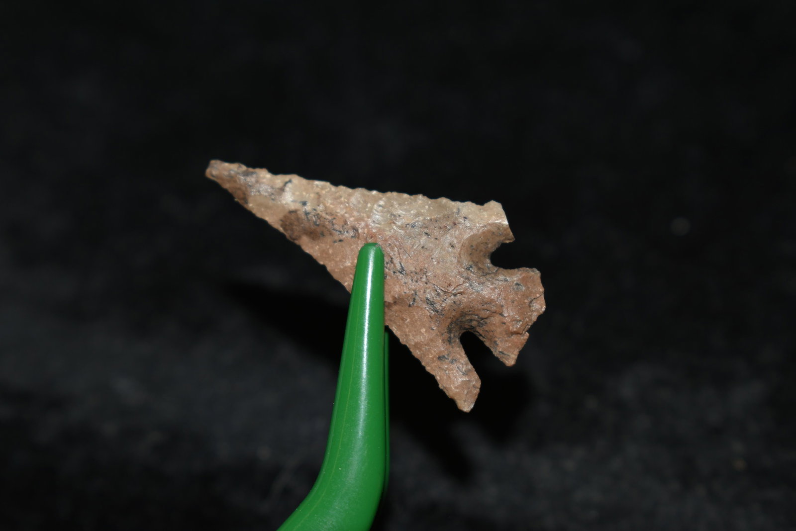1" Eastgate This collection contains Wonderful examples: 1" Eastgate This collection contains Wonderful examples of Columbia River Valley Arrowheads and Darts from the Fred Van Ronk Collection. The location of these artifacts range from the about Dalles, Or
