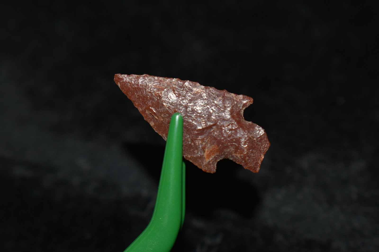 1" Calapooya This collection contains Wonderful: 1" Calapooya This collection contains Wonderful examples of Columbia River Valley Arrowheads and Darts from the Fred Van Ronk Collection. The location of these artifacts range from the about Dalles, O