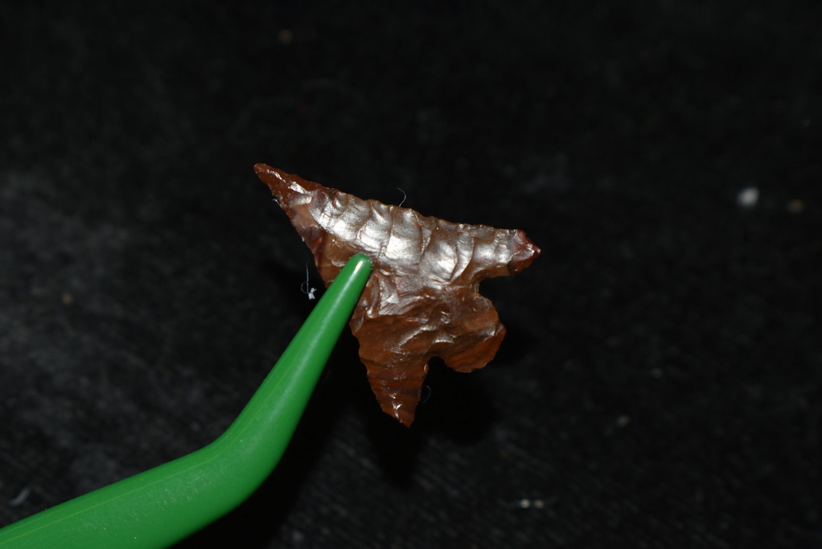 7/8" Calapooya This collection contains Wonderful: 7/8" Calapooya This collection contains Wonderful examples of Columbia River Valley Arrowheads and Darts from the Fred Van Ronk Collection. The location of these artifacts range from the about Dalles,