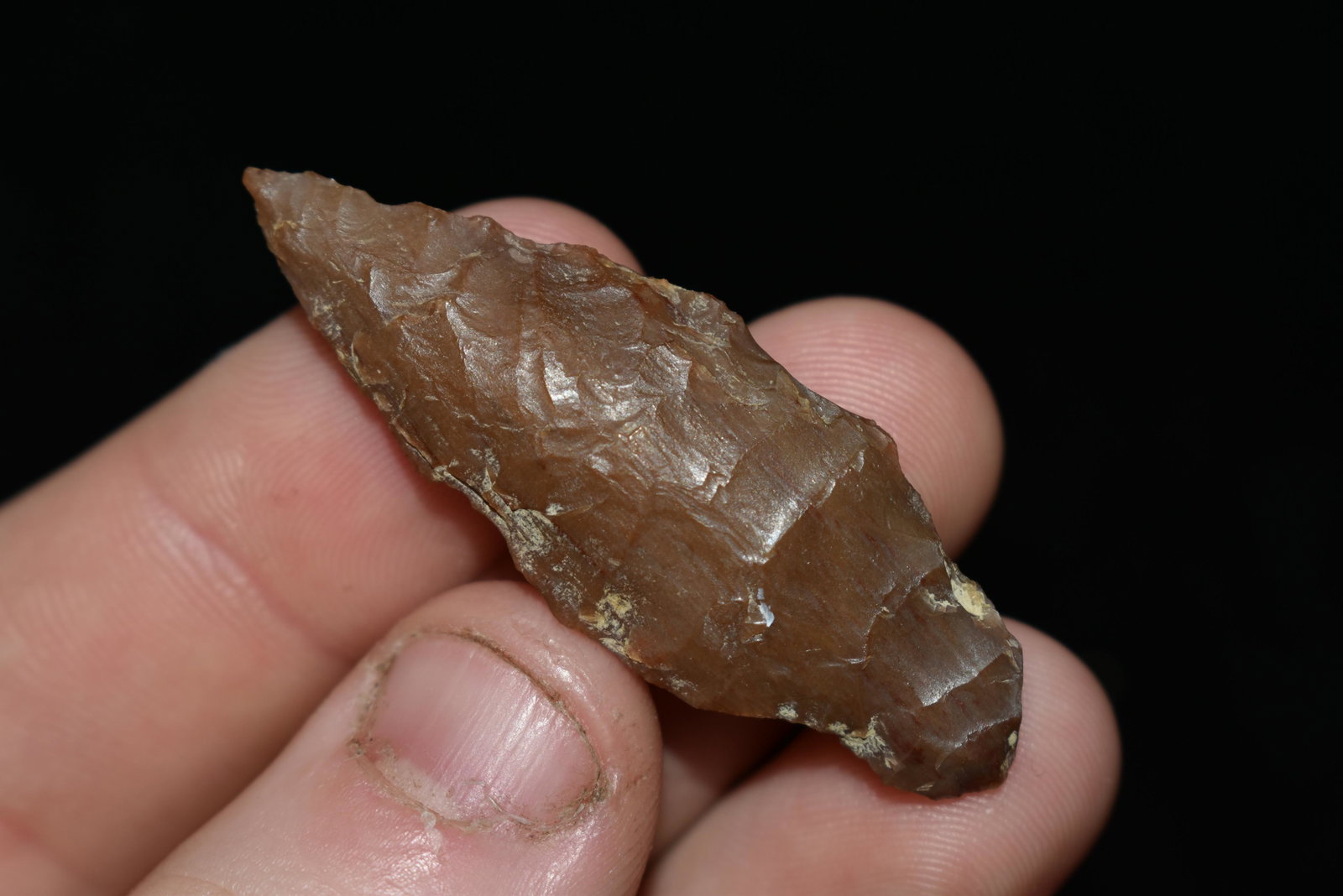 1 7/8" Rabbit Island This collection contains Wonderful: 1 7/8" Rabbit Island This collection contains Wonderful examples of Columbia River Valley Arrowheads and Darts from the Fred Van Ronk Collection. The location of these artifacts range from the about D