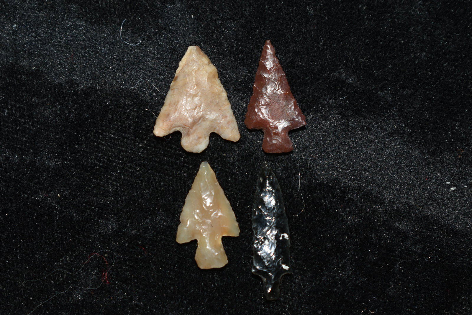 Lot of 4 Columbia River Gem Points, Largest measures: Lot of 4 Columbia River Gem Points, Largest measures 7/8" This collection contains Wonderful examples of Columbia River Valley Arrowheads and Darts from the Fred Van Ronk Collection. The location of t