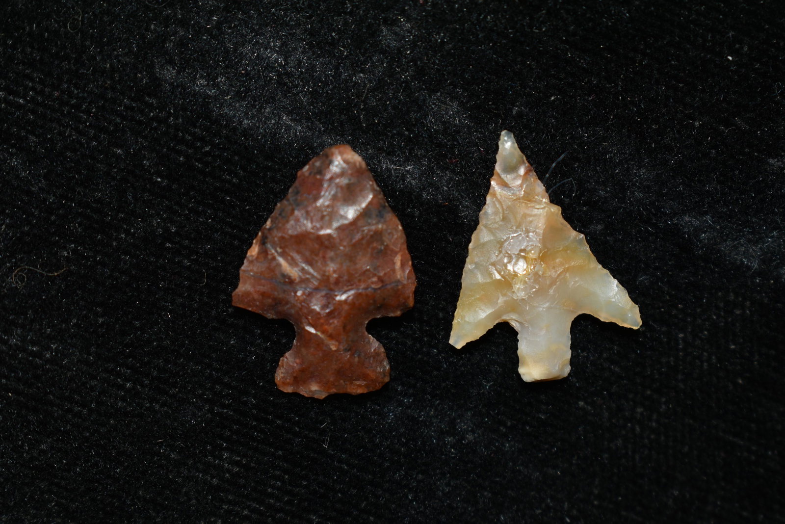 Lot of 2 Columbia River Gem Points, Largest measures: Lot of 2 Columbia River Gem Points, Largest measures 3/4" This collection contains Wonderful examples of Columbia River Valley Arrowheads and Darts from the Fred Van Ronk Collection. The location of t