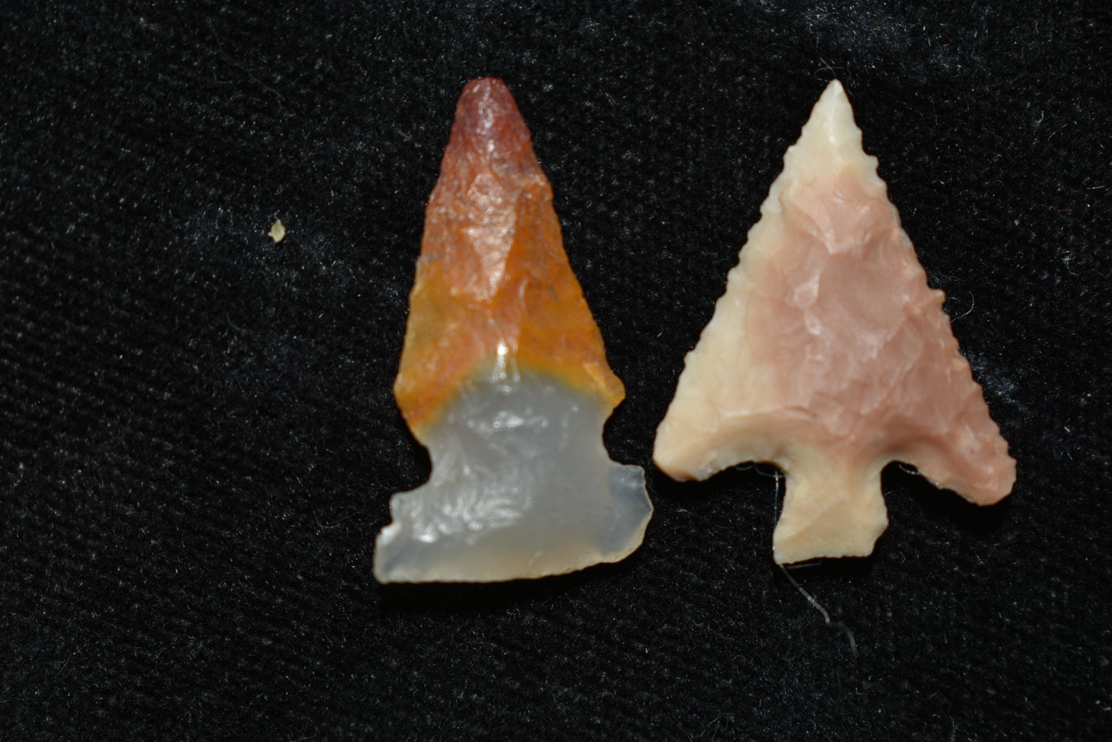 Lot of 2 Columbia River Gem Points, Largest measures: Lot of 2 Columbia River Gem Points, Largest measures 15/16" This collection contains Wonderful examples of Columbia River Valley Arrowheads and Darts from the Fred Van Ronk Collection. The location of