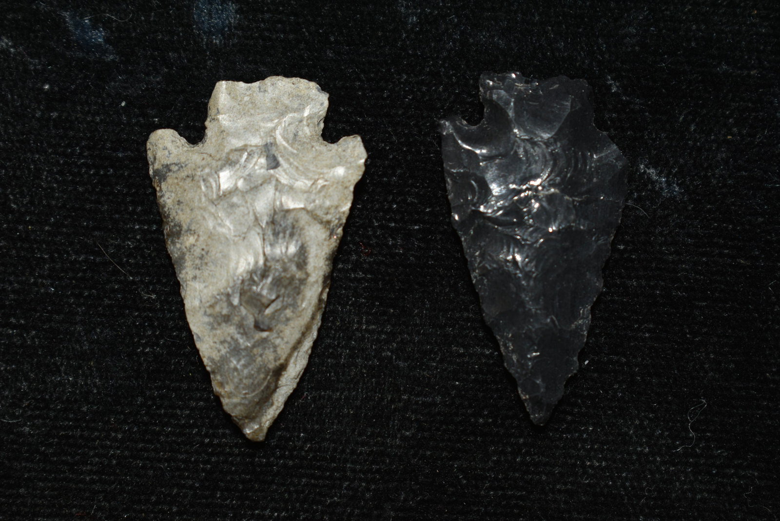 Pair of Columbia River Gem Points, Largest measures 1: Pair of Columbia River Gem Points, Largest measures 1 1/8" This collection contains Wonderful examples of Columbia River Valley Arrowheads and Darts from the Fred Van Ronk Collection. The location of 