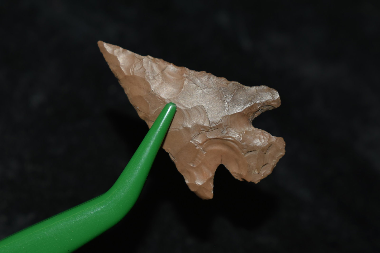 1 3/8" Quillomene Bar This collection contains: 1 3/8" Quillomene Bar This collection contains Wonderful examples of Columbia River Valley Arrowheads and Darts from the Fred Van Ronk Collection. The location of these artifacts range from the about 