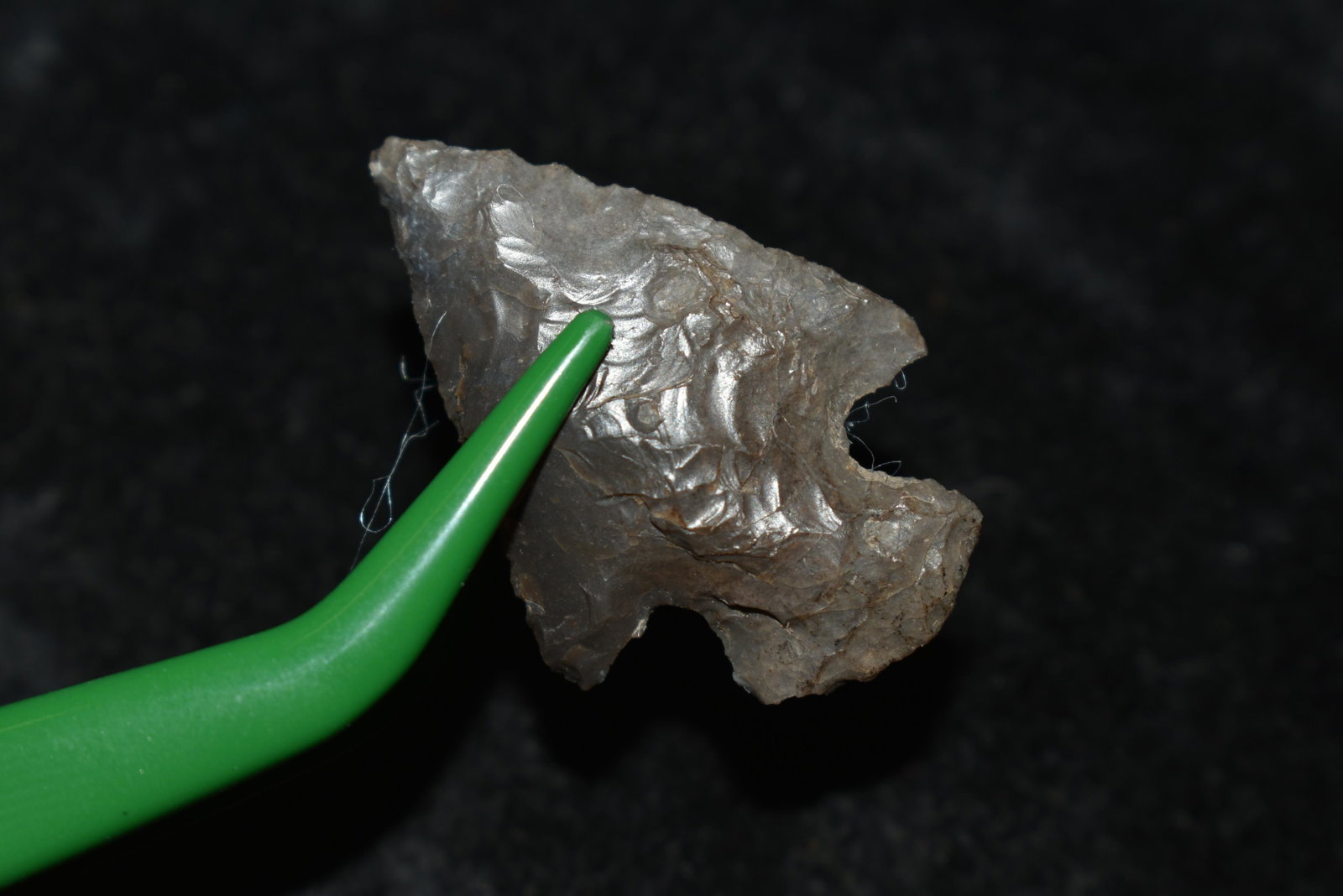 1 3/16" Merrybell Dart This collection contains: 1 3/16" Merrybell Dart This collection contains Wonderful examples of Columbia River Valley Arrowheads and Darts from the Fred Van Ronk Collection. The location of these artifacts range from the about