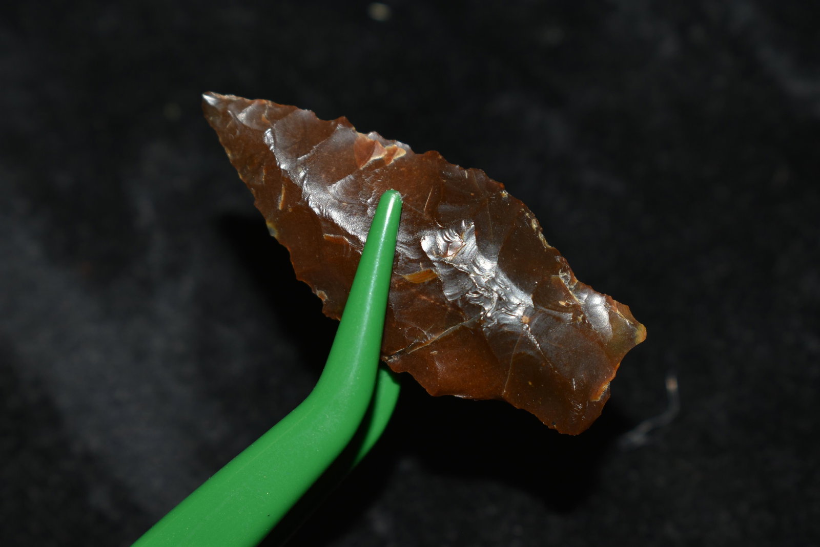 1 5/8" Rabbit Island This collection contains Wonderful: 1 5/8" Rabbit Island This collection contains Wonderful examples of Columbia River Valley Arrowheads and Darts from the Fred Van Ronk Collection. The location of these artifacts range from the about D