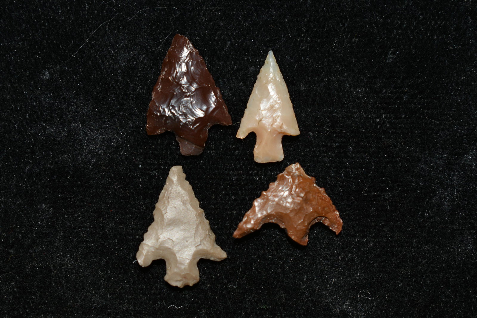 Lot of 4 Columbia River Gem Points, Largest is 5/8": Lot of 4 Columbia River Gem Points, Largest is 5/8" This collection contains Wonderful examples of Columbia River Valley Arrowheads and Darts from the Fred Van Ronk Collection. The location of these a