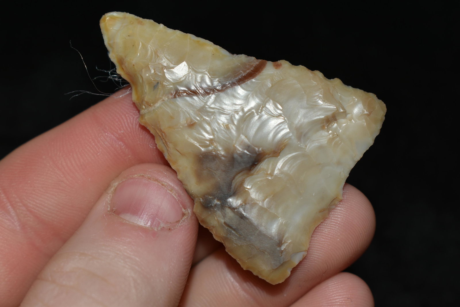 2" Atlatl Valley Triangular This collection contains: 2" Atlatl Valley Triangular This collection contains Wonderful examples of Columbia River Valley Arrowheads and Darts from the Fred Van Ronk Collection. The location of these artifacts range from the 