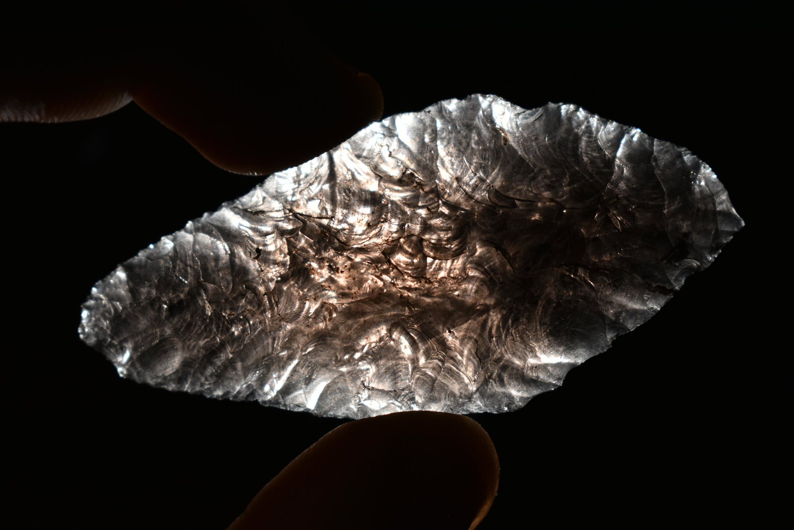 2 1/8" Obsidian Nuevo This collection contains: 2 1/8" Obsidian Nuevo This collection contains Wonderful examples of Columbia River Valley Arrowheads and Darts from the Fred Van Ronk Collection. The location of these artifacts range from the about 