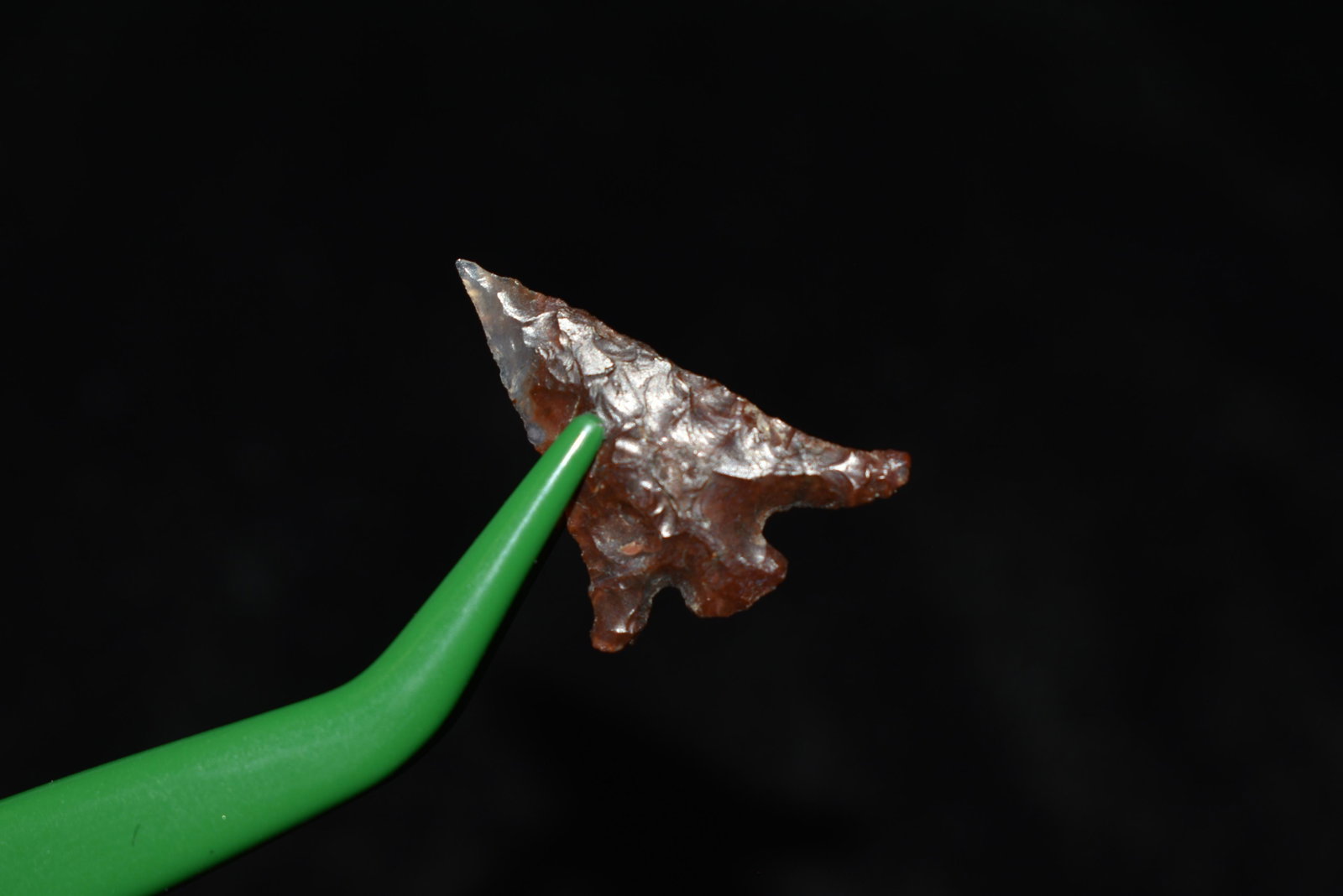 3/4" Columbia Plateau This collection contains: 3/4" Columbia Plateau This collection contains Wonderful examples of Columbia River Valley Arrowheads and Darts from the Fred Van Ronk Collection. The location of these artifacts range from the about 