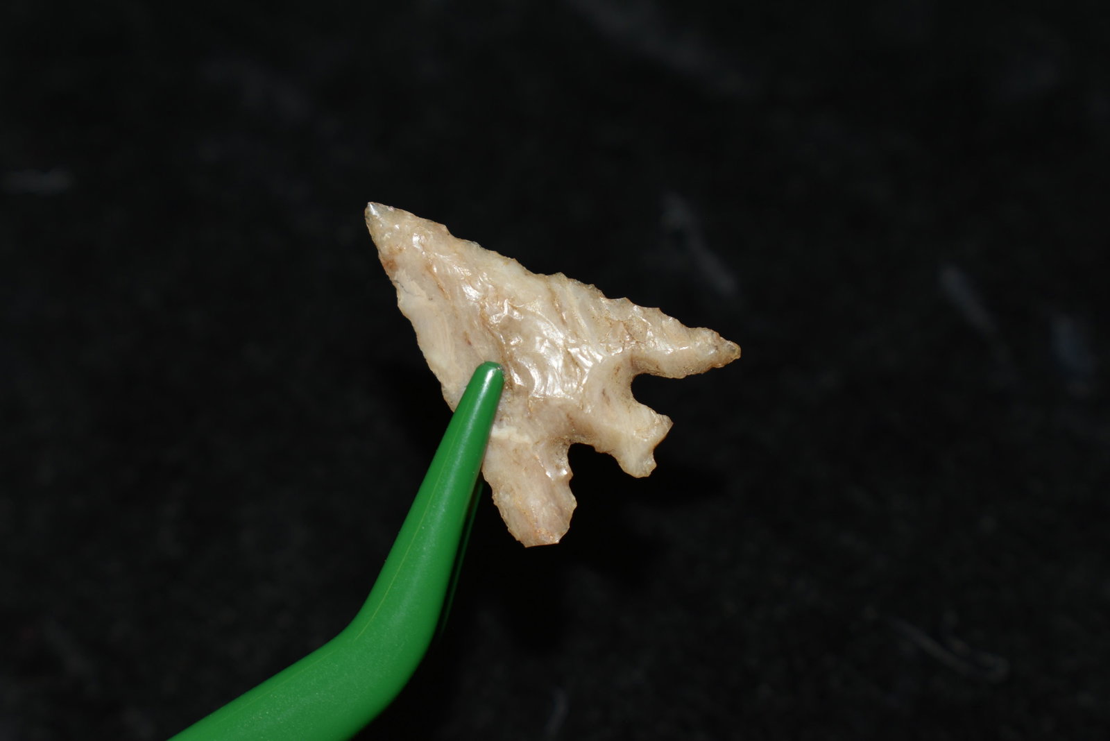 7/8" Columbia Plateau This collection contains: 7/8" Columbia Plateau This collection contains Wonderful examples of Columbia River Valley Arrowheads and Darts from the Fred Van Ronk Collection. The location of these artifacts range from the about 
