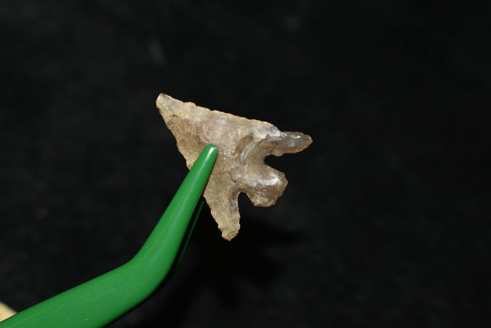 3/4" Columbia Plateau This collection contains: 3/4" Columbia Plateau This collection contains Wonderful examples of Columbia River Valley Arrowheads and Darts from the Fred Van Ronk Collection. The location of these artifacts range from the about 