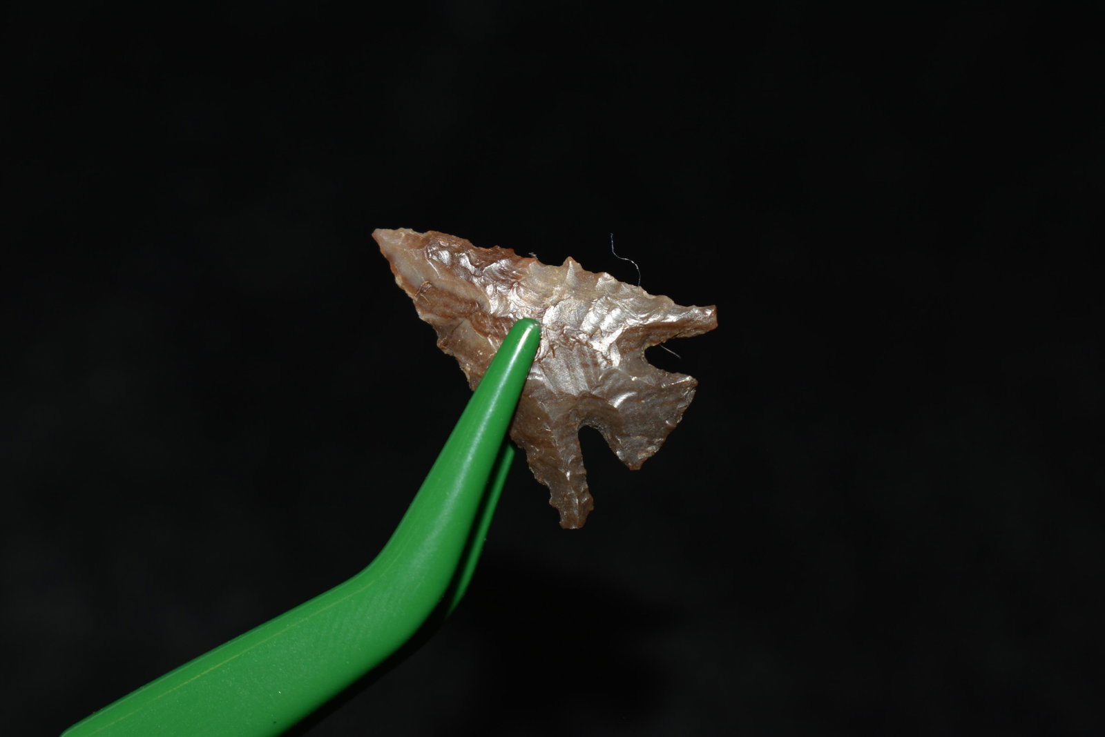 1 1/2" Rose Spring This collection contains Wonderful: 1 1/2" Rose Spring This collection contains Wonderful examples of Columbia River Valley Arrowheads and Darts from the Fred Van Ronk Collection. The location of these artifacts range from the about Dal