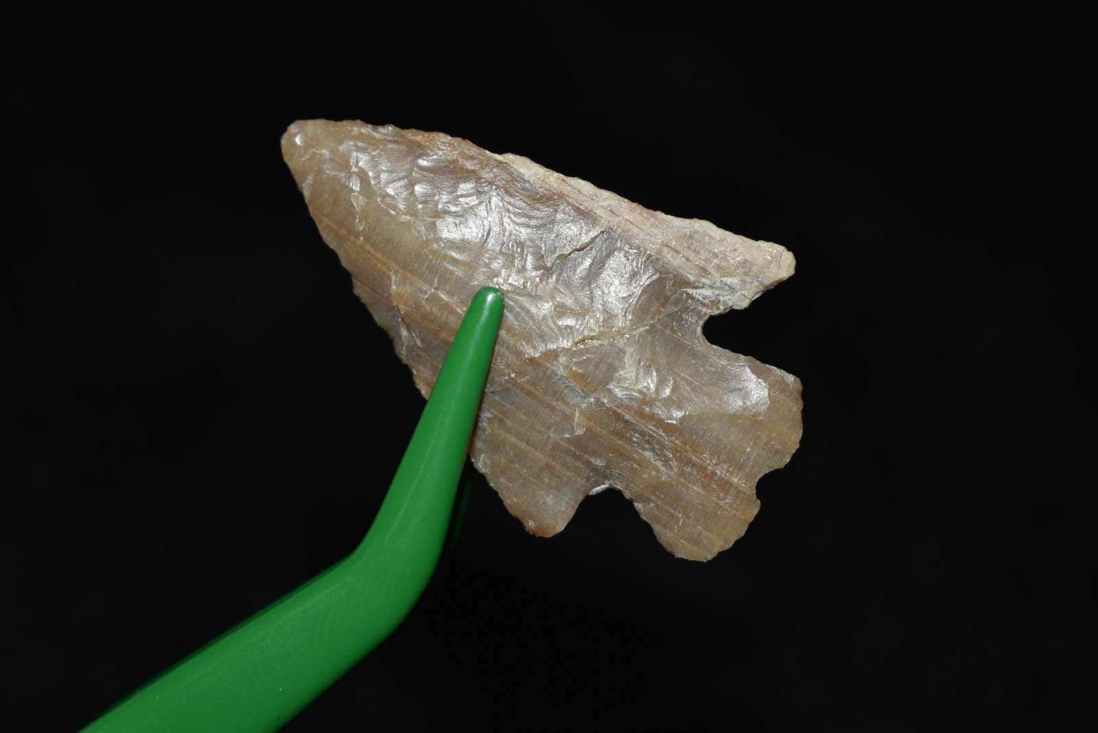 1 3/8" Elko Corner Notch This collection contains: 1 3/8" Elko Corner Notch This collection contains Wonderful examples of Columbia River Valley Arrowheads and Darts from the Fred Van Ronk Collection. The location of these artifacts range from the abo