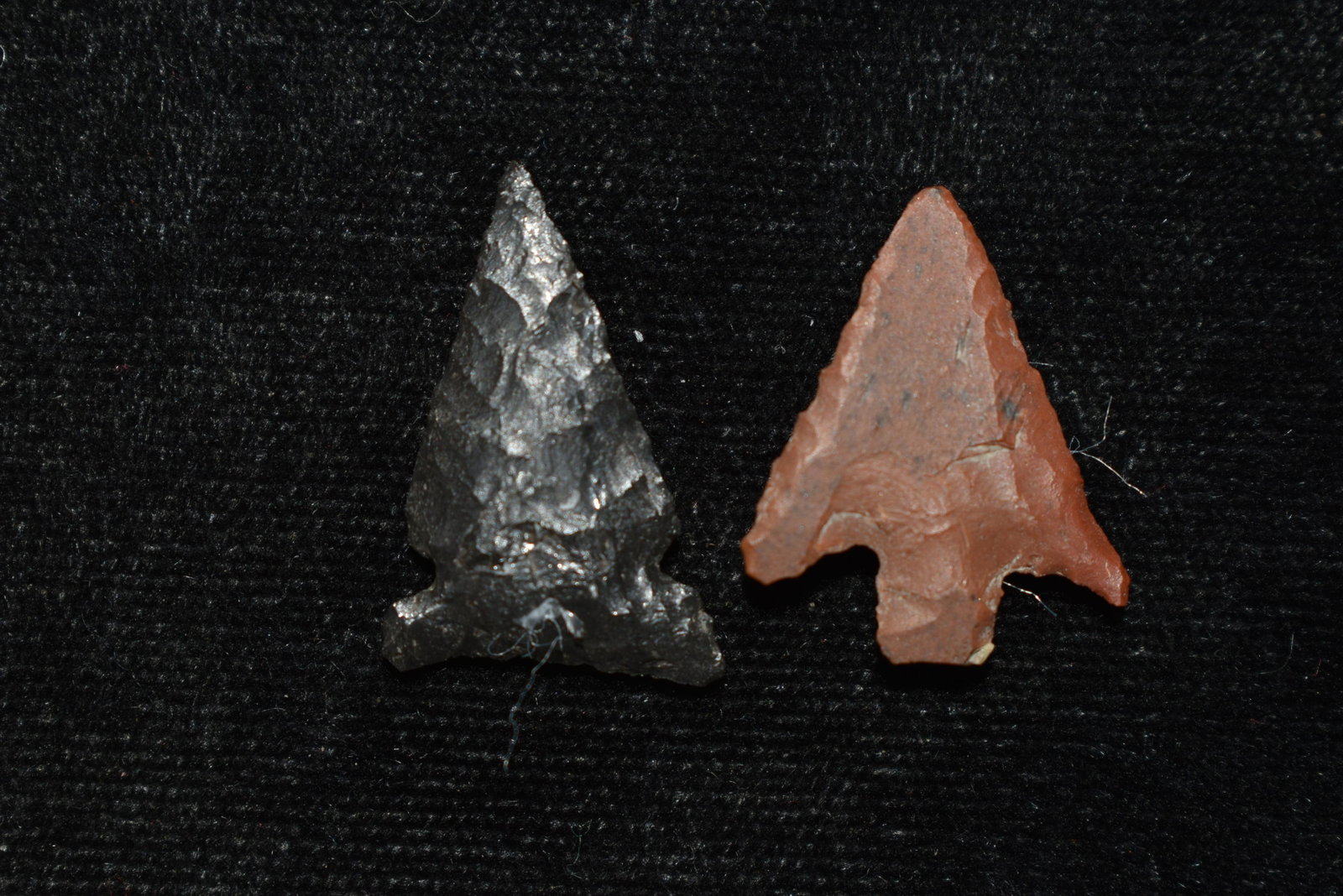 Lot of 2 Columbia River Gem Points, Largest measures 1": Lot of 2 Columbia River Gem Points, Largest measures 1" This collection contains Wonderful examples of Columbia River Valley Arrowheads and Darts from the Fred Van Ronk Collection. The location of the