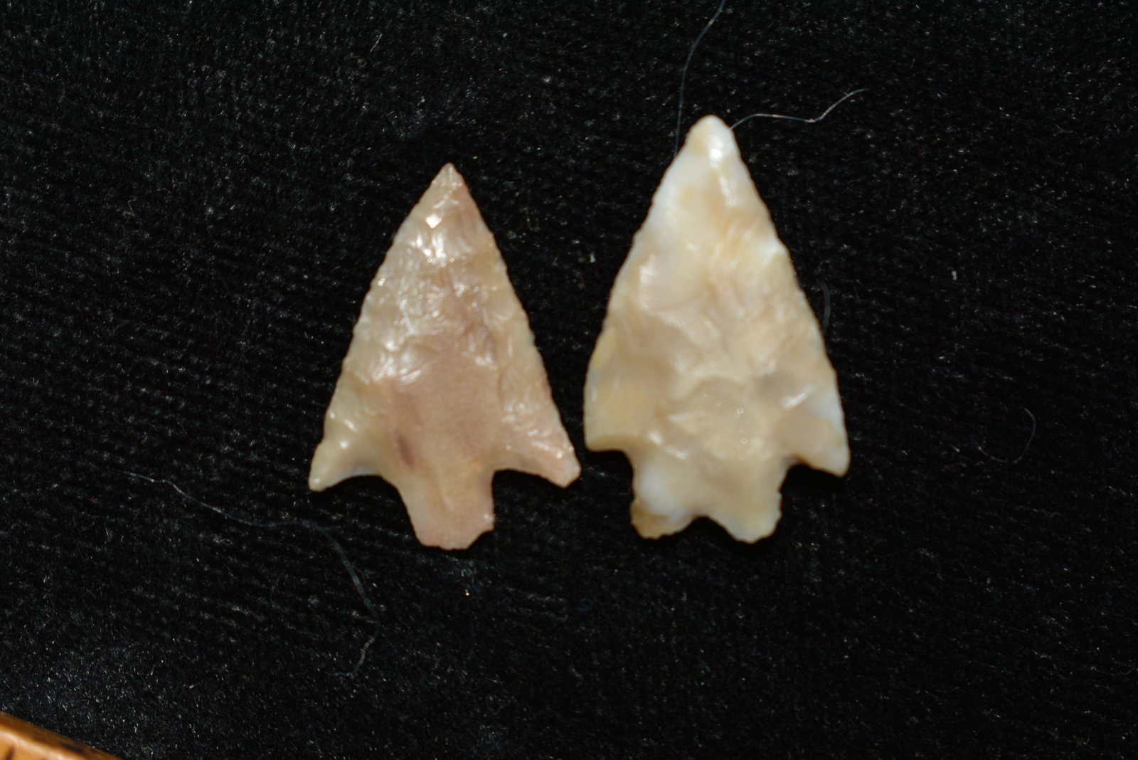 Lot of 2 Columbia River Gem Points, Largest is 3/4": Lot of 2 Columbia River Gem Points, Largest is 3/4" This collection contains Wonderful examples of Columbia River Valley Arrowheads and Darts from the Fred Van Ronk Collection. The location of these a