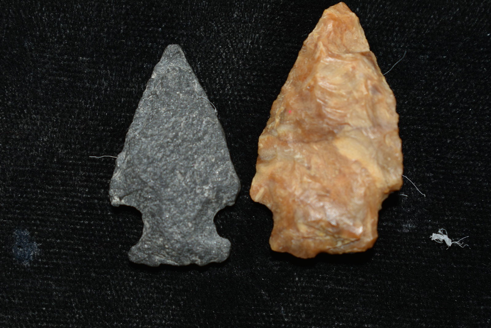 Lot of 2 Columbia River Gem Points, Largest measures 1: Lot of 2 Columbia River Gem Points, Largest measures 1 1/4" This collection contains Wonderful examples of Columbia River Valley Arrowheads and Darts from the Fred Van Ronk Collection. The location of