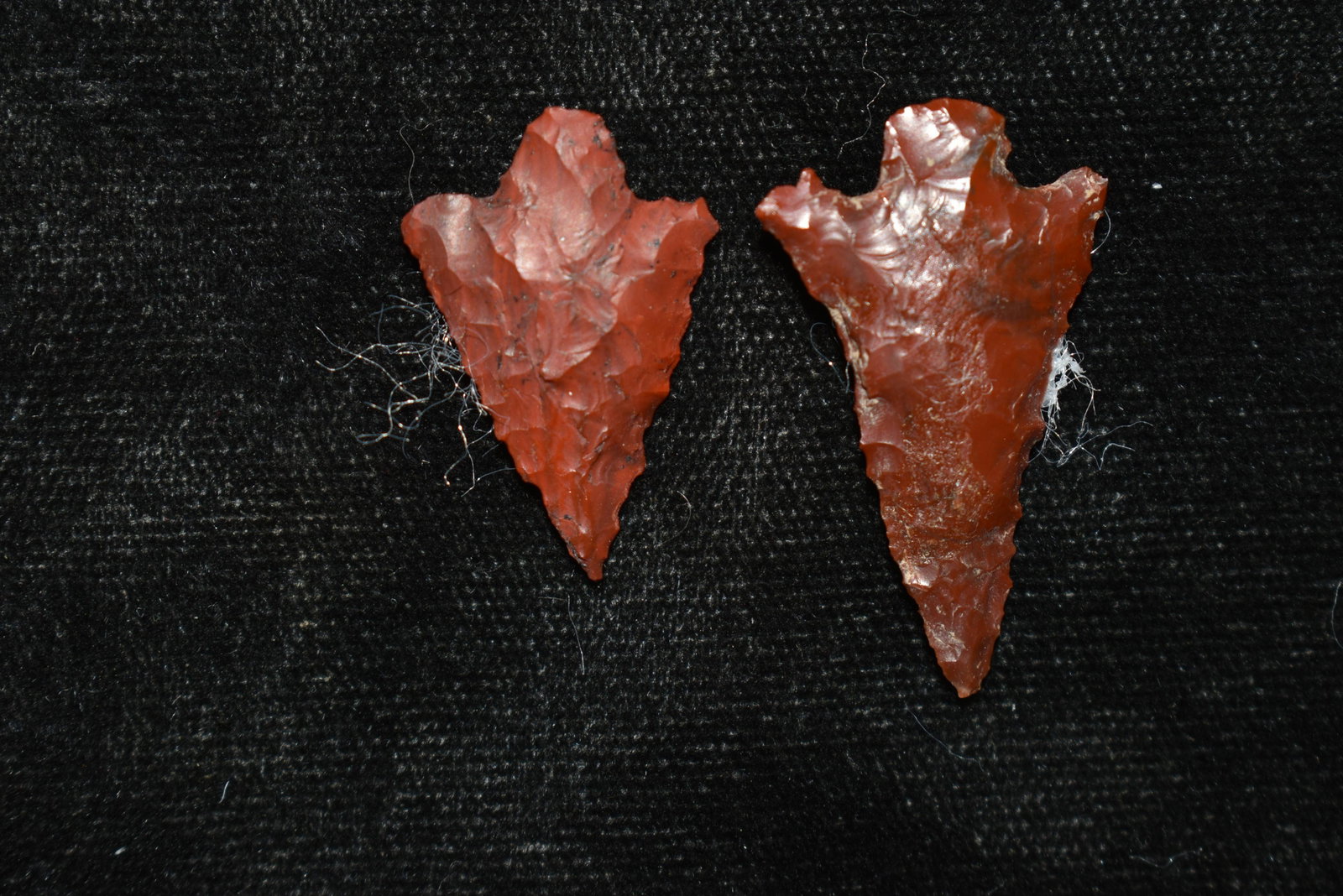 Lot of 2 Columbia River Gem Points, Largest measures 1: Lot of 2 Columbia River Gem Points, Largest measures 1 1/4" This collection contains Wonderful examples of Columbia River Valley Arrowheads and Darts from the Fred Van Ronk Collection. The location of