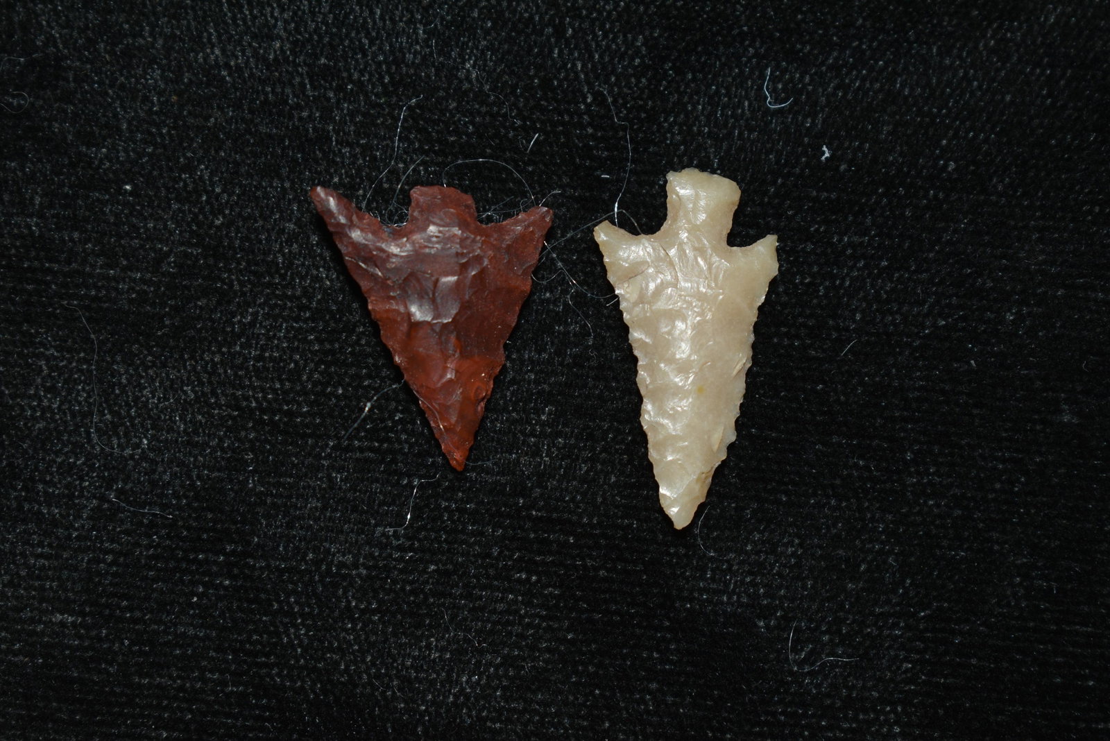 Lot of 2 Columbia River Gem Points, Largest measures: Lot of 2 Columbia River Gem Points, Largest measures 7/8" This collection contains Wonderful examples of Columbia River Valley Arrowheads and Darts from the Fred Van Ronk Collection. The location of t