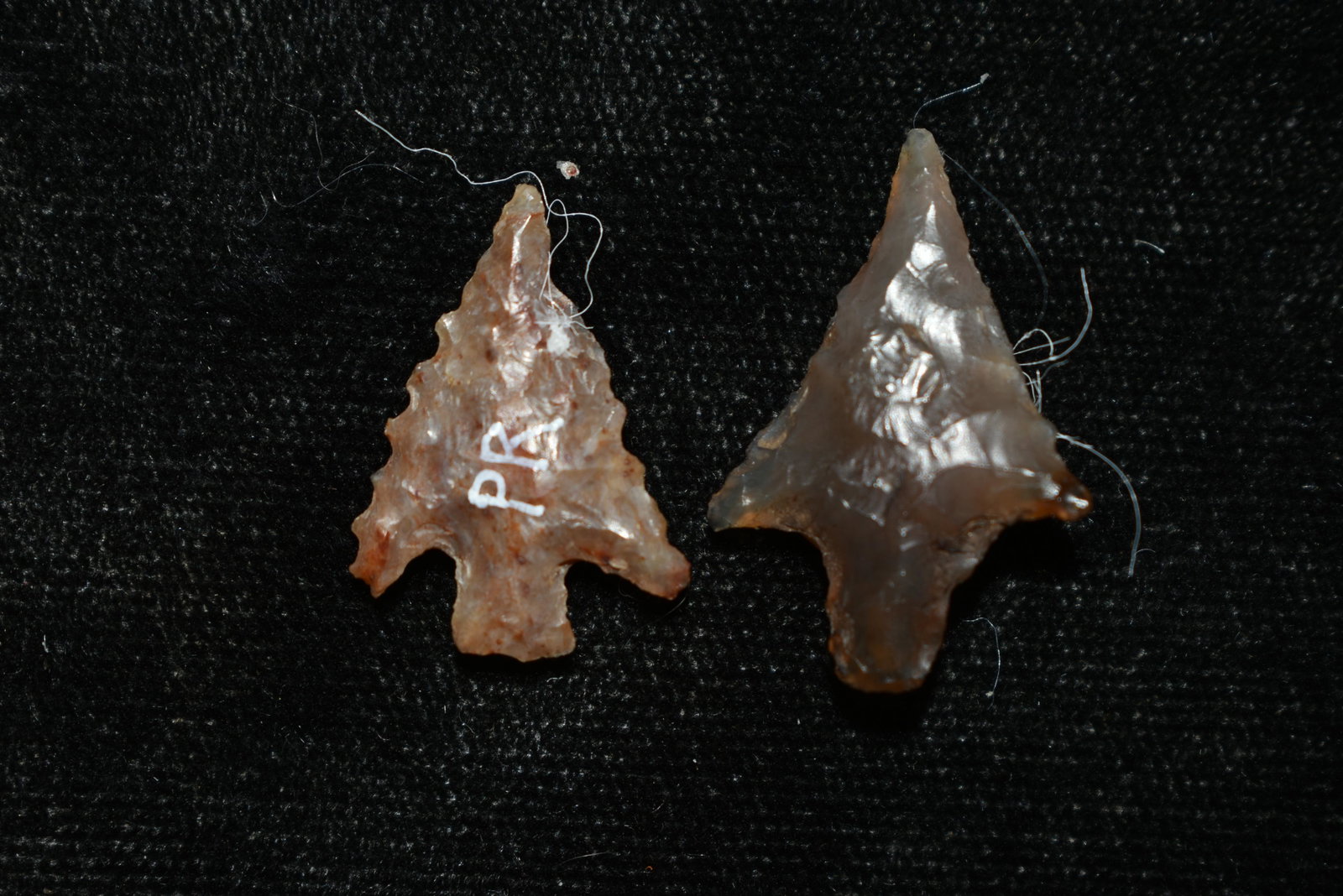 Lot of 2 Columbia River Gem Points, Largest measures 1: Lot of 2 Columbia River Gem Points, Largest measures 1 1/16" This collection contains Wonderful examples of Columbia River Valley Arrowheads and Darts from the Fred Van Ronk Collection. The location o