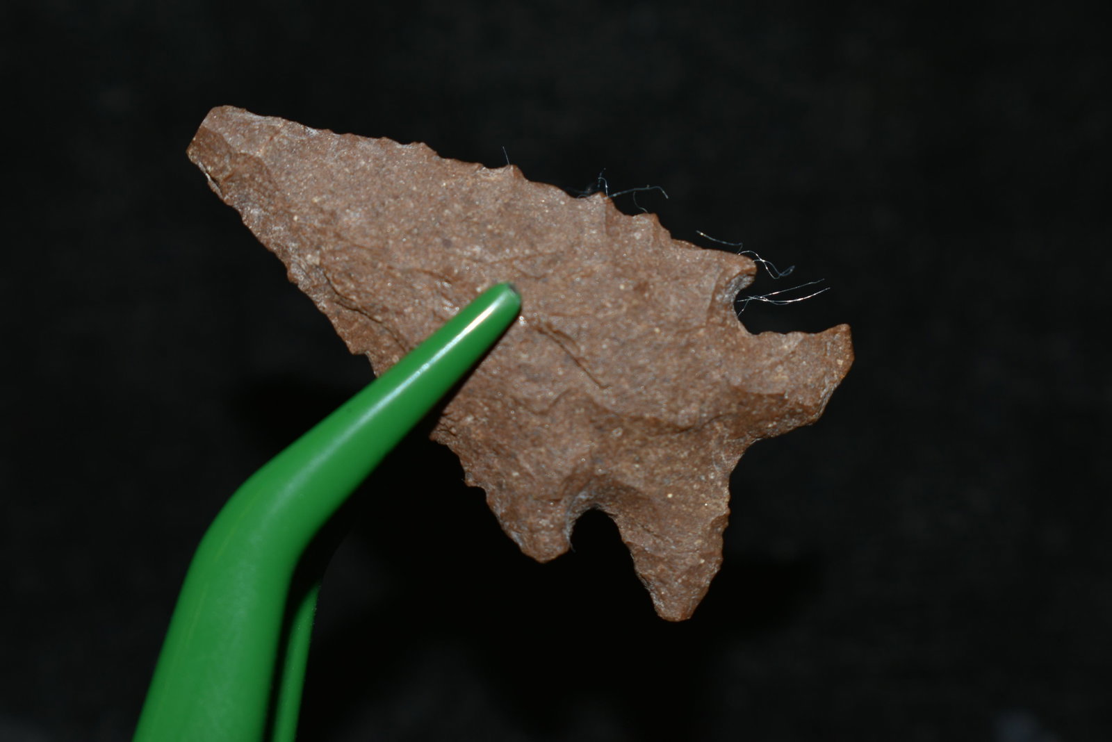 1 3/8" Elko Eared This collection contains Wonderful: 1 3/8" Elko Eared This collection contains Wonderful examples of Columbia River Valley Arrowheads and Darts from the Fred Van Ronk Collection. The location of these artifacts range from the about Dall