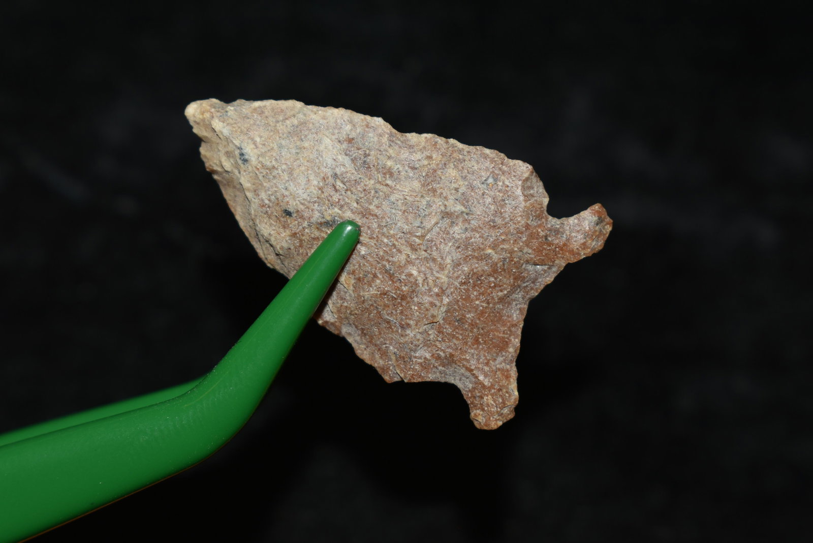 1 1/8" Elko Earred This collection contains Wonderful: 1 1/8" Elko Earred This collection contains Wonderful examples of Columbia River Valley Arrowheads and Darts from the Fred Van Ronk Collection. The location of these artifacts range from the about Dal