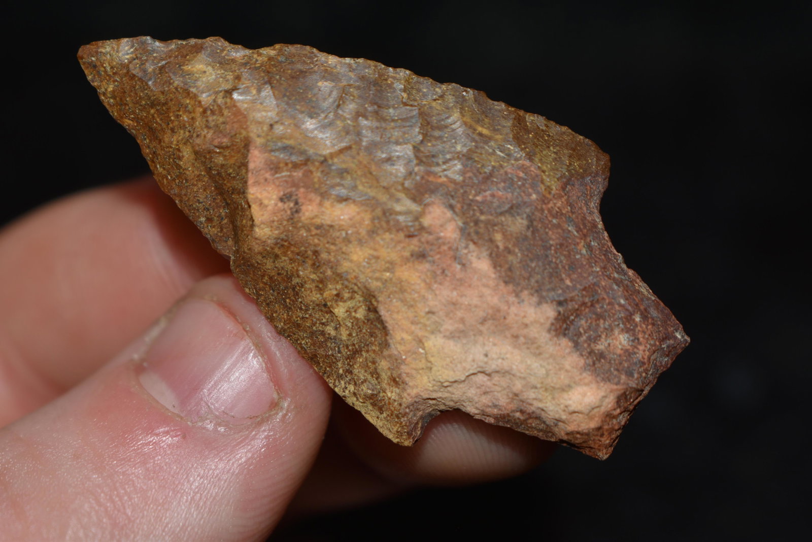 1 7/8" Gatecliff This collection contains Wonderful: 1 7/8" Gatecliff This collection contains Wonderful examples of Columbia River Valley Arrowheads and Darts from the Fred Van Ronk Collection. The location of these artifacts range from the about Dalle