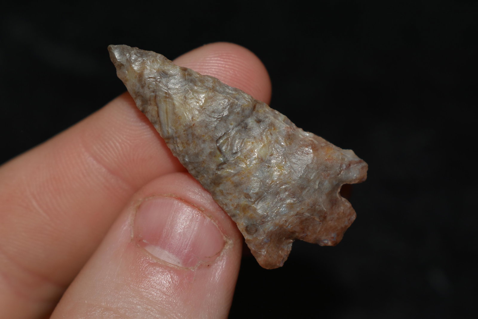 1 1/2" Cody Plateau This collection contains Wonderful: 1 1/2" Cody Plateau This collection contains Wonderful examples of Columbia River Valley Arrowheads and Darts from the Fred Van Ronk Collection. The location of these artifacts range from the about Da