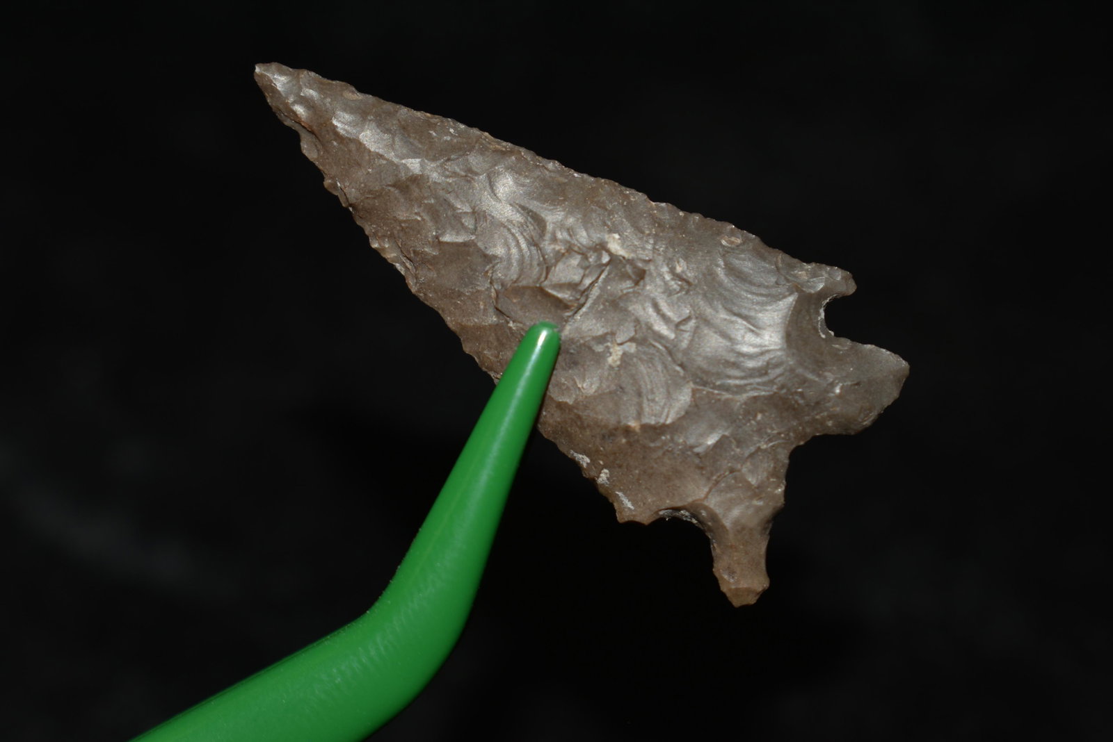 1 1/2" Elko Eared This collection contains Wonderful: 1 1/2" Elko Eared This collection contains Wonderful examples of Columbia River Valley Arrowheads and Darts from the Fred Van Ronk Collection. The location of these artifacts range from the about Dall